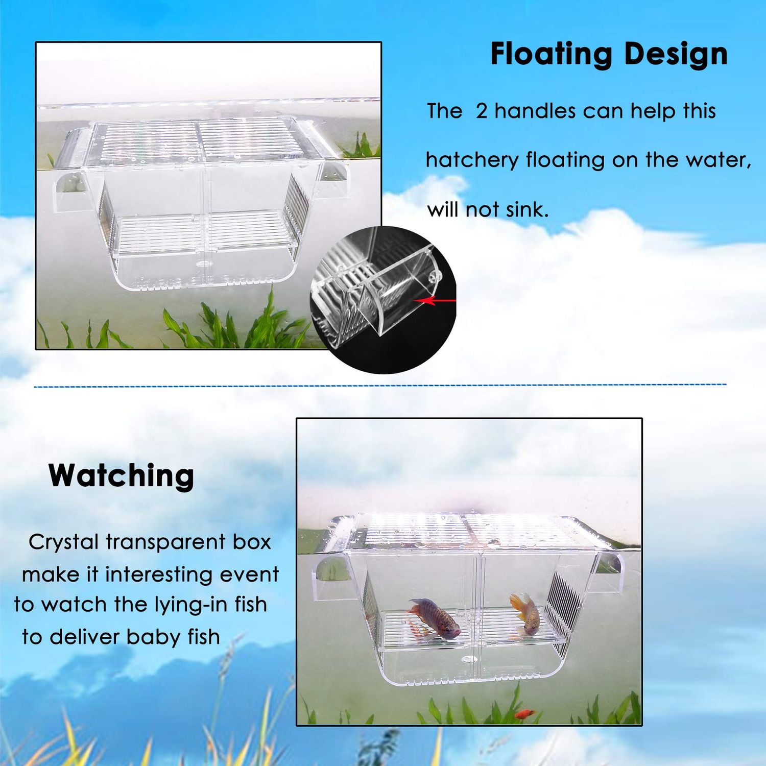 capetsma Fish Breeding Box, Acrylic Fish Isolation Box with Suction Cups, Aquarium Acclimation Hatchery Incubator for Baby Fishes Shrimp Clownfish and Guppy... Small Size (S)