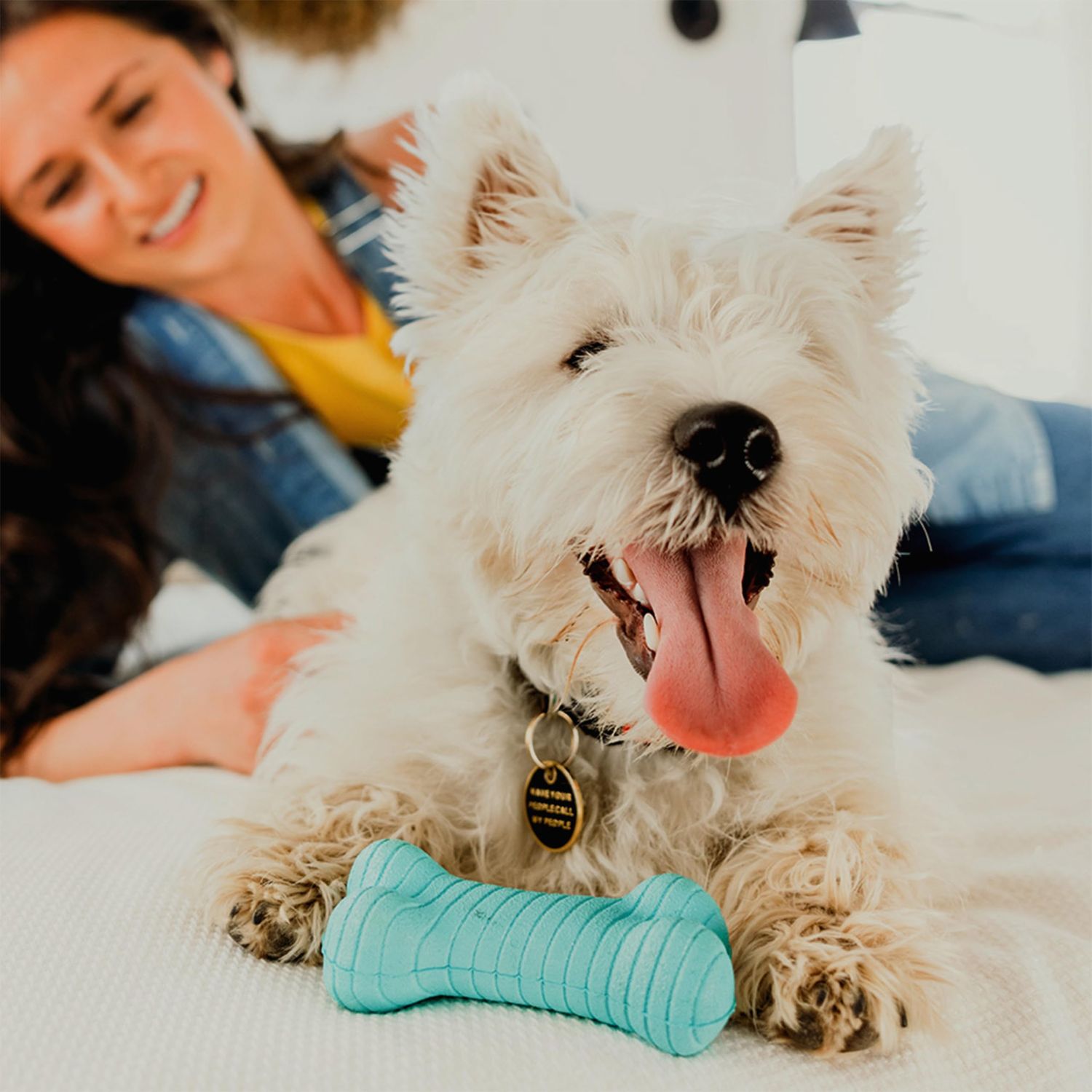 Playology Dual Layer Bone | Engaging All Natural Peanut Butter Scented Dog Toys, Value 3-Pack | Blue Bone for Small Dogs up to 25lbs | Interactive & Durable for Tough Chewers