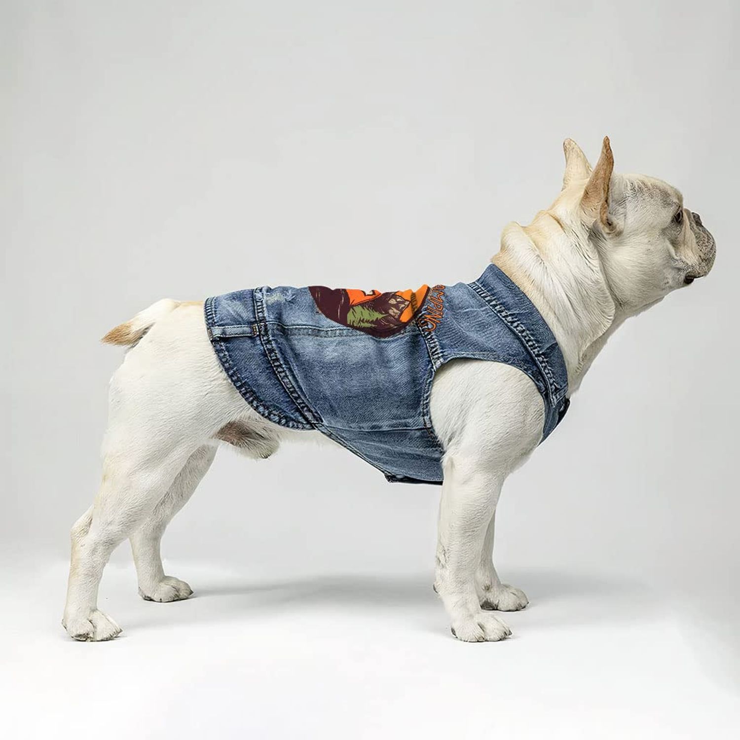 Let's Go Camping Dog Denim Vest - Tent Dog Denim Jacket - Camping Dog Clothing - L