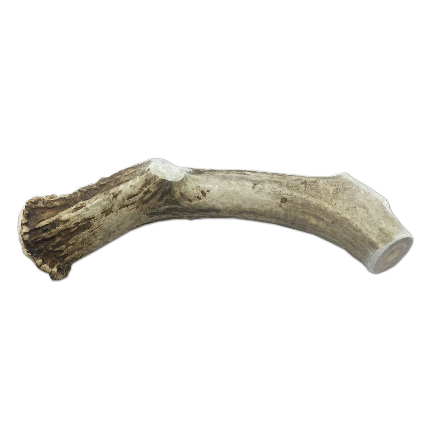 CZ Grain XXL JUMBO Deer Antler for Dogs, for The BIG CHEWER - Premium Grade A Deer Antler Dog Chew - Long Lasting Dog Treat for Your Pet. MADE in USA