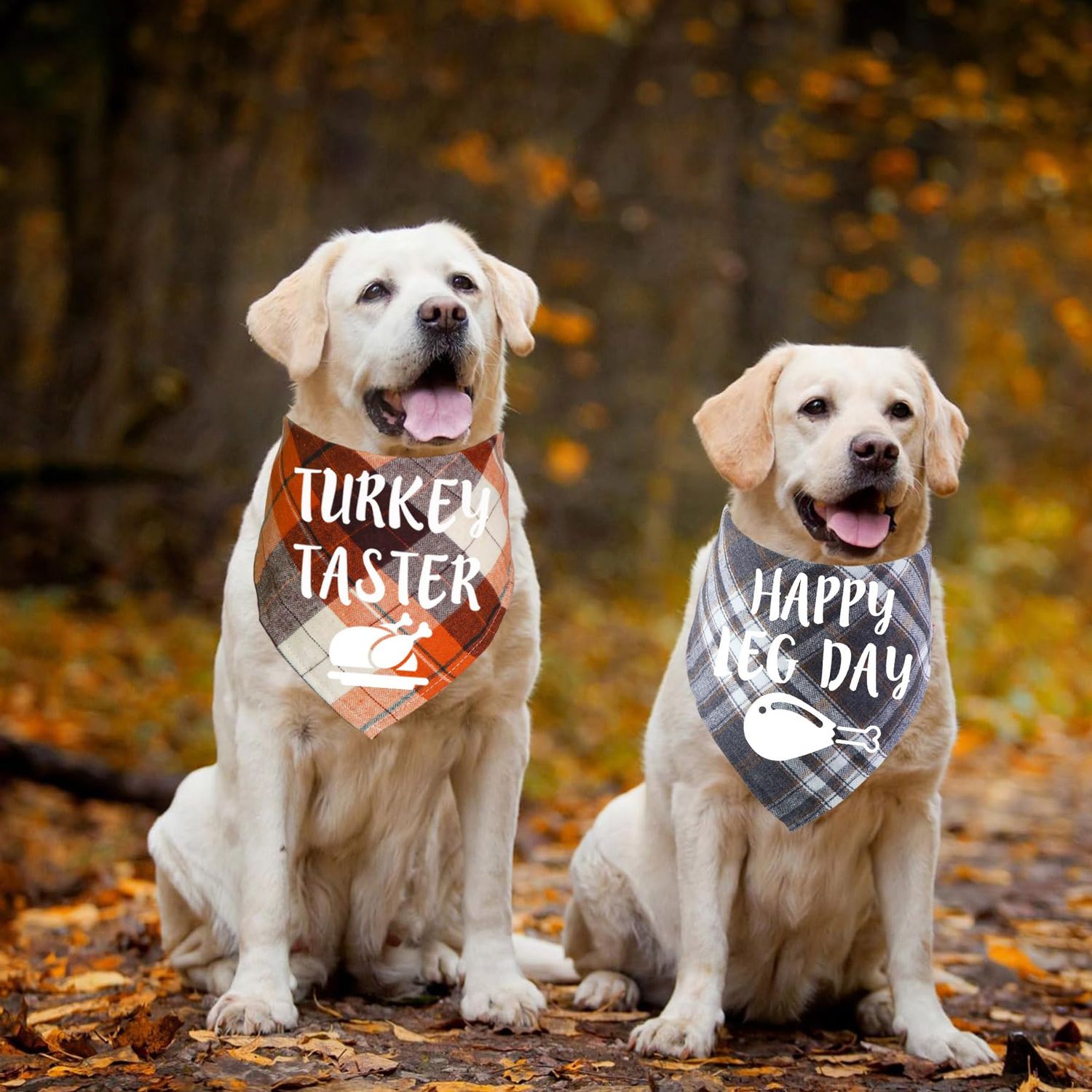 STMK 2 Pack Thanksgiving Day Dog Bandanas, Dog Holiday Fall Thanksgiving Bandanas Scarf for Small Medium Large Dogs (Large, Happy Leg Day & Turkey Taster)