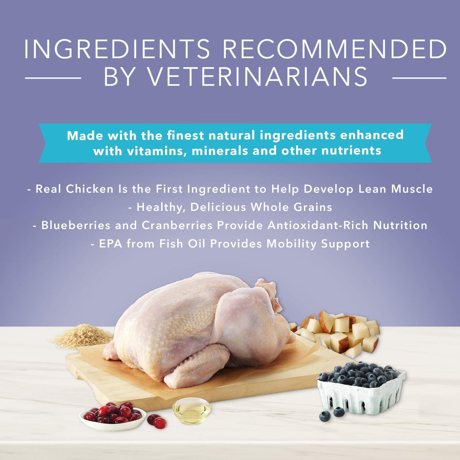 Blue Buffalo True Solutions Jolly Joints Natural Mobility Support Adult Dry Dog Food, Chicken 11-lb