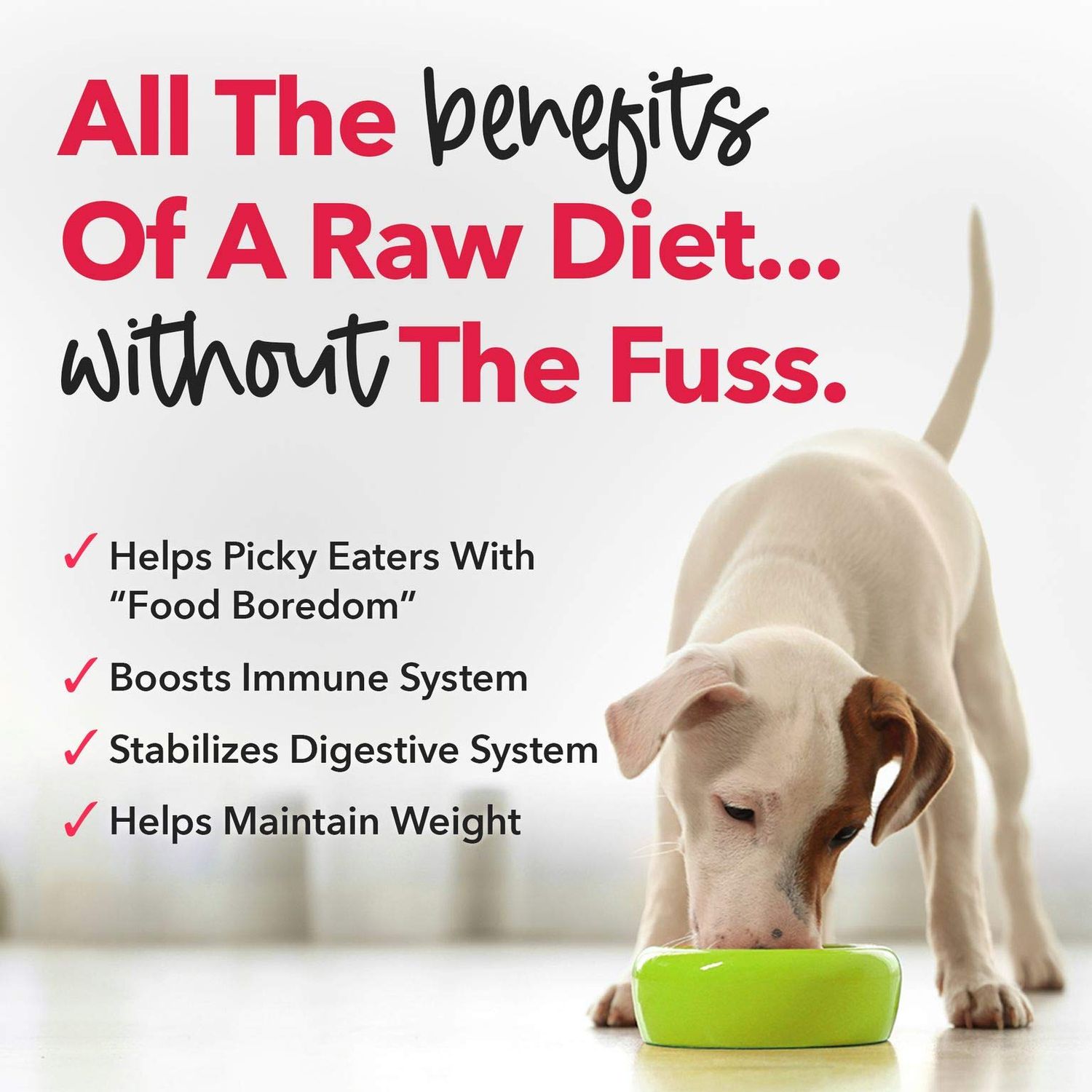 iHeartDogs Dog Food Topper - Freeze-Dried Raw Dog Food Seasoning - Grain Free Superfood Meal Mixer (Beef, 3 Ounce)
