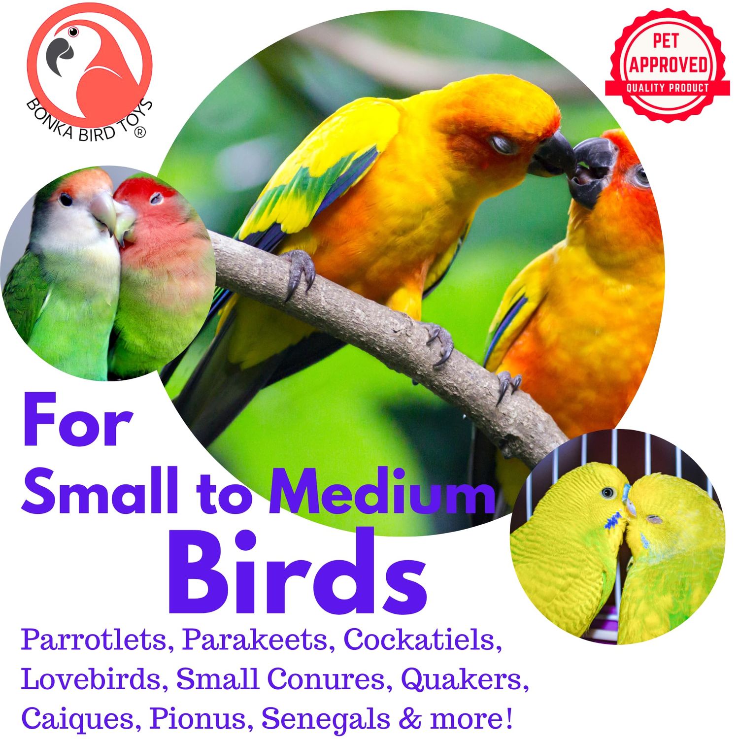 Bonka Bird Toys Natural and Colored Ice Cream Sticks Foot Talon Craft Part Pet Parrot, Conures, Parakeets, Ringnecks, and Similar Breeds (1229 Pk80 Colored)