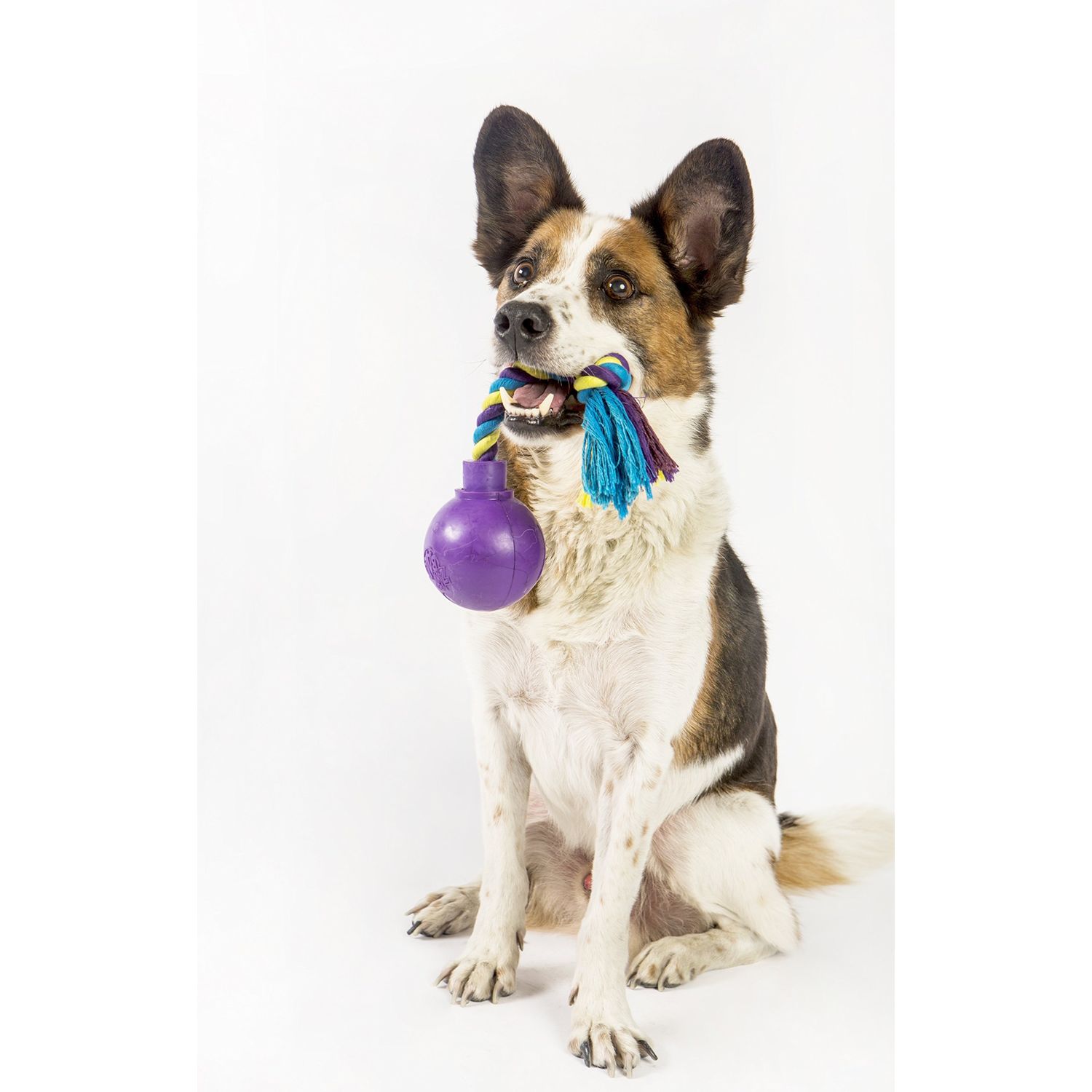 R2P Group Zany Bunch Rope Twister Electronic Dog Toy - Assorted Colors