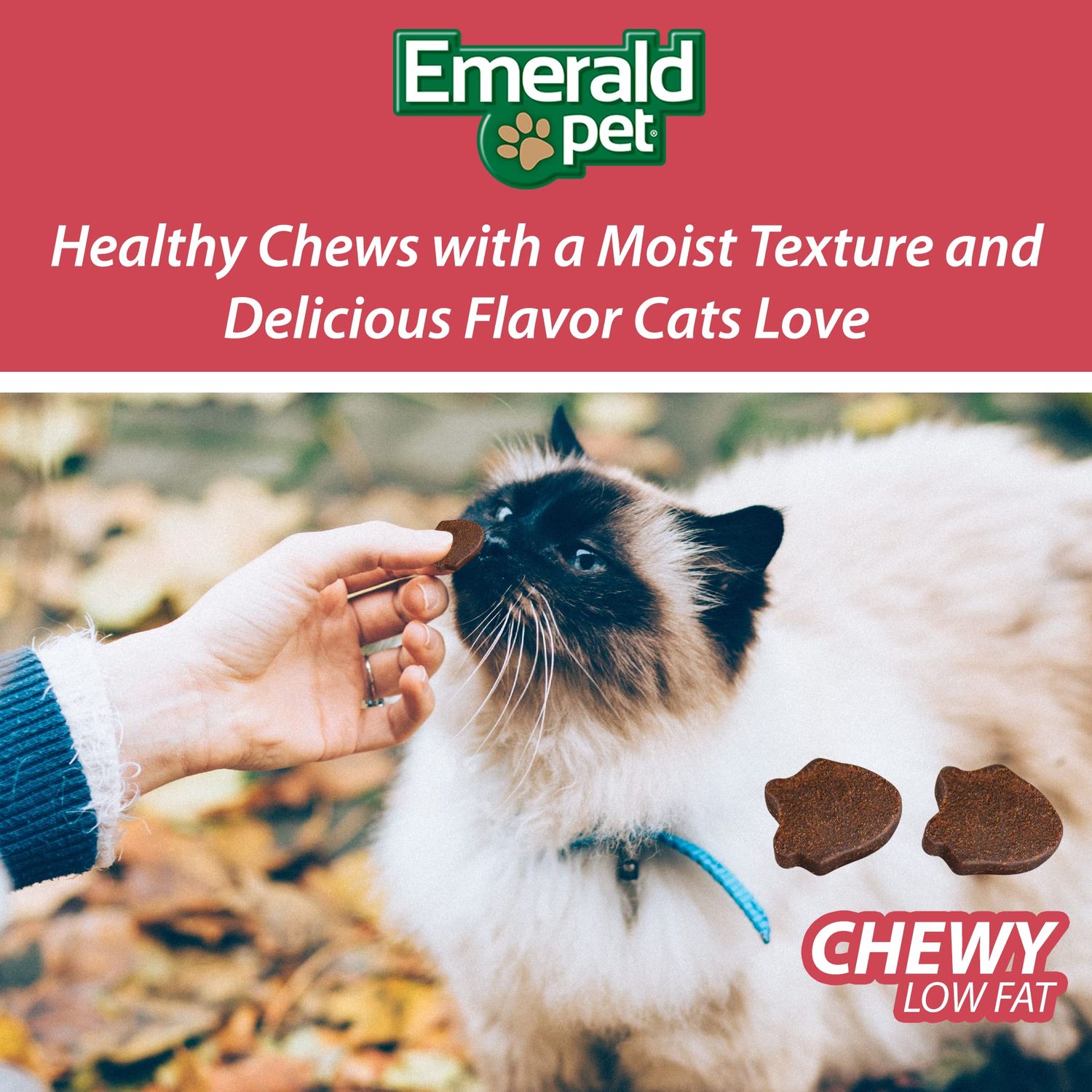 Emerald Pet Feline Health Chews UT Support — Natural Grain Free Urinary Tract Health Cat Chews — Cat Urinary Supplements with Cranberry, Chicory Root, and Dandelion Leaf Extract — Made in USA, 2.5 oz