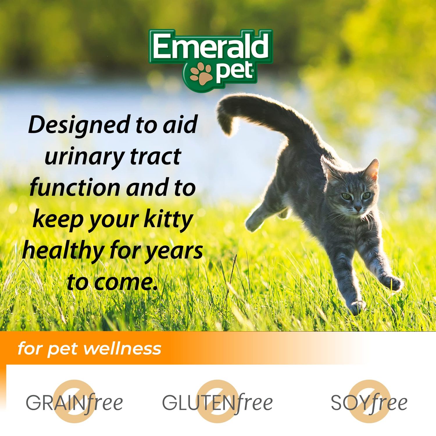 Emerald Pet Feline Health Chews UT Support — Natural Grain Free Urinary Tract Health Cat Chews — Cat Urinary Supplements with Cranberry, Chicory Root, and Dandelion Leaf Extract — Made in USA, 2.5 oz
