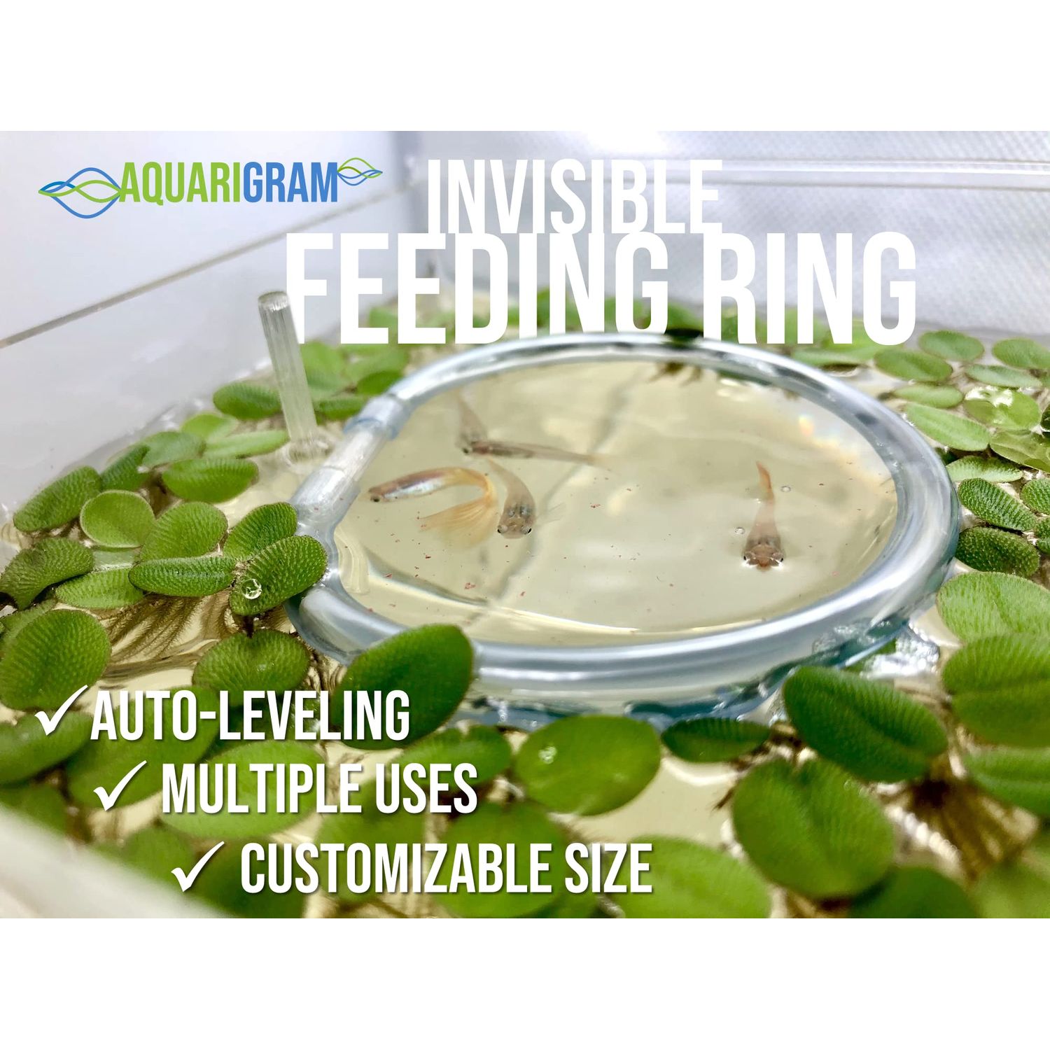 Invisible Feeding Ring (Customizable and Auto-Leveling) Food Portal for Floating Plant Aquariums and Fish Tanks (Two-Pack)