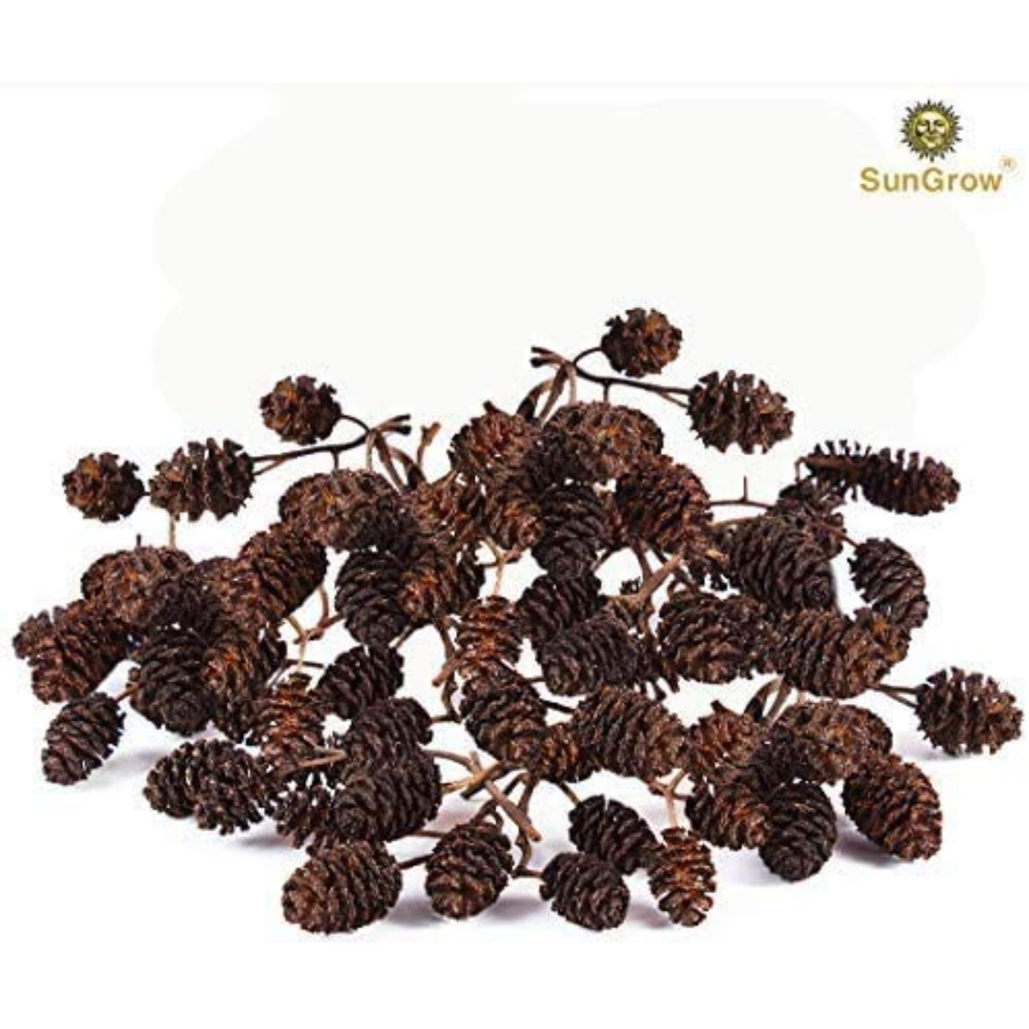SunGrow Alder Cones for Shrimps, Water Conditioner for Freshwater Shrimp Tanks, Aquarium Decorations & Accessories, 1”, 50 Cones per Pack