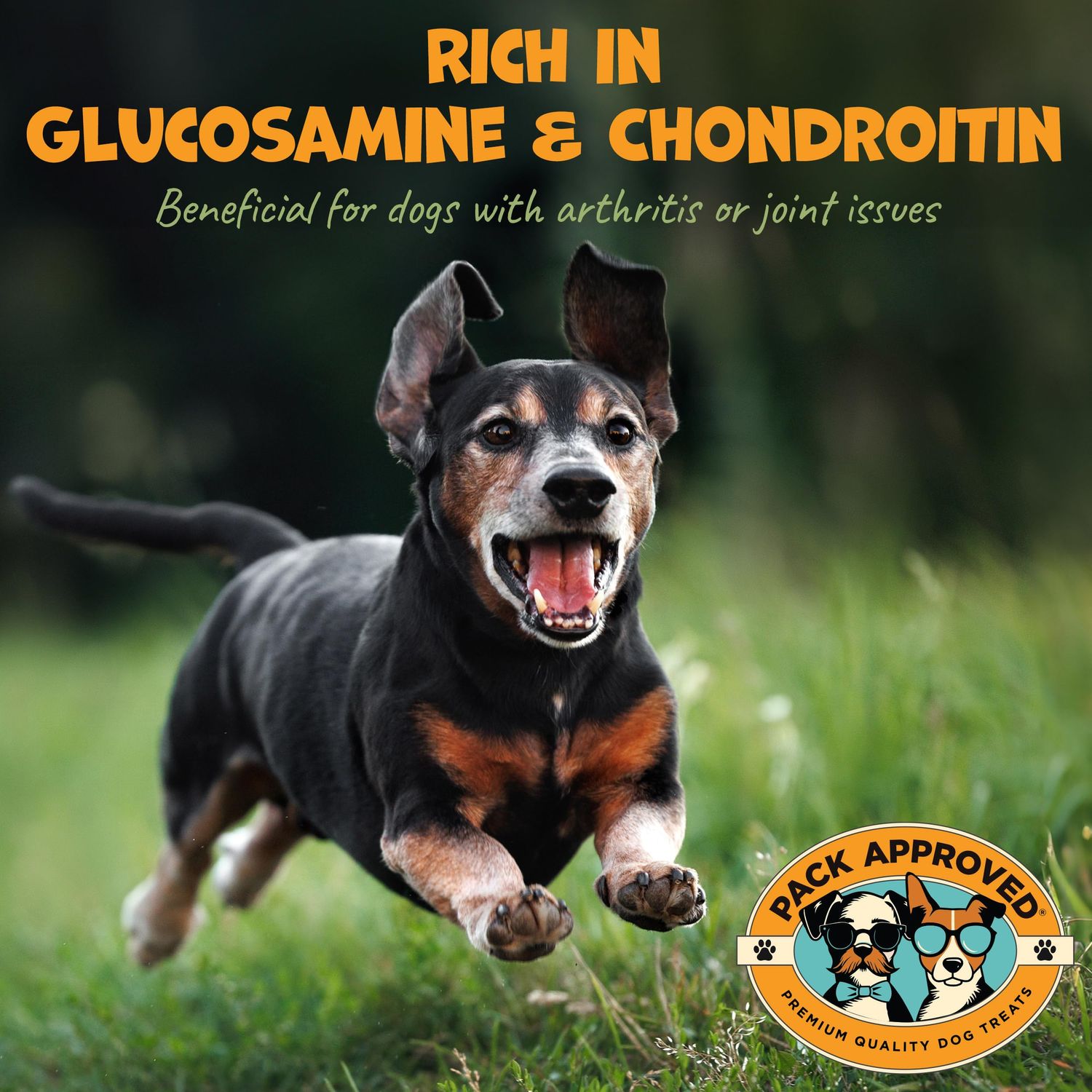 Pack Approved Beef Trachea - Dehydrated Beef Dog Treats Made in USA - Single Ingredient Treat w/Chondroitin & Glucosamine - Dog Joint Health for Small to Medium Breeds - 5-6" (4ct)