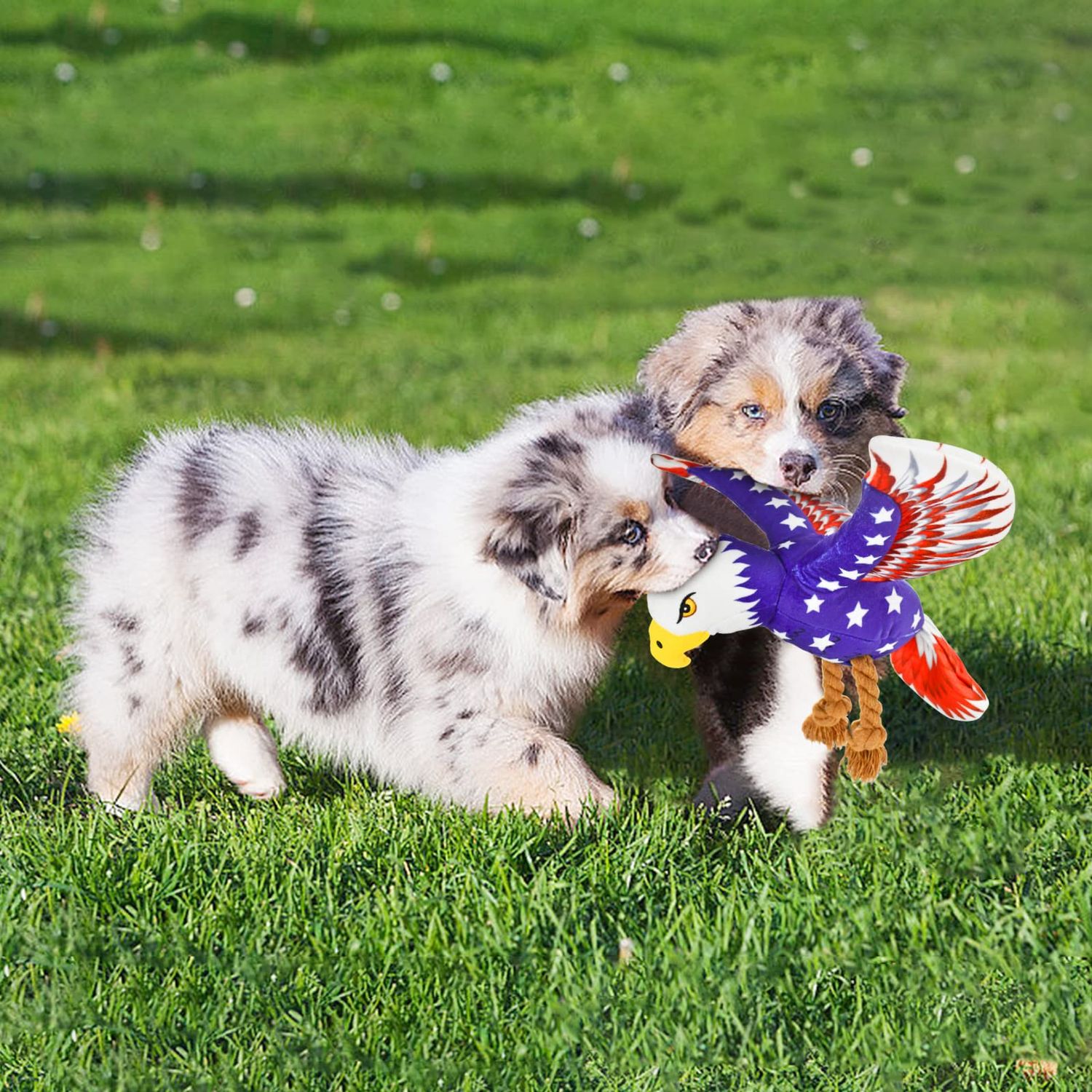 Vehomy Dog Squeaky Toy 4th of July Puppy Dog Toy Independence Day Pet Plush Eagle Toy with Crinkle Paper Squeaker Dog Interactive Toy for Small Medium Dogs