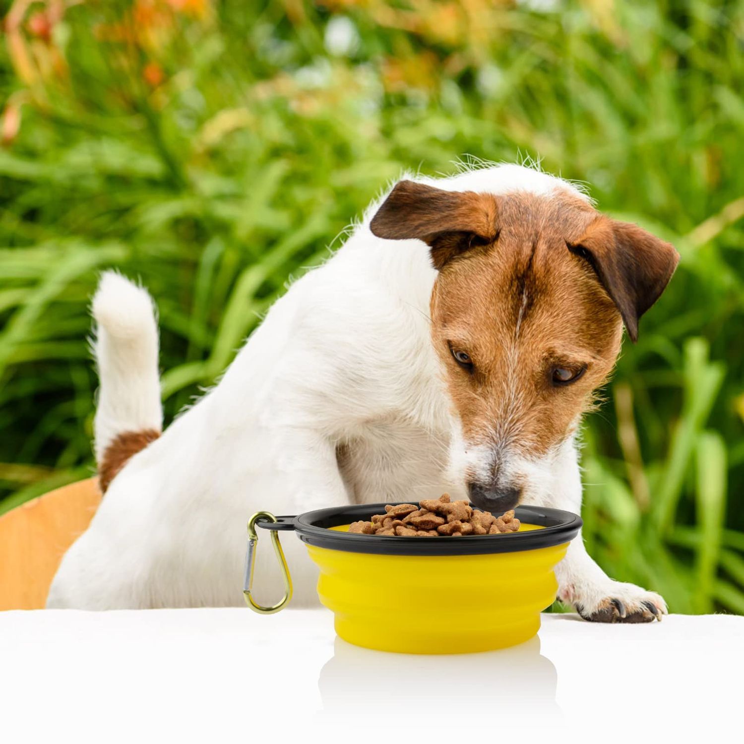 MXZONE 3 Collapsible Silicone Dog Bowl, Foldable Expandable Cup Dish for Small Pet Cat Food Water Feeding Portable Travel Bowl, Free Pet ID-Tag, Yellow Blue Black, S