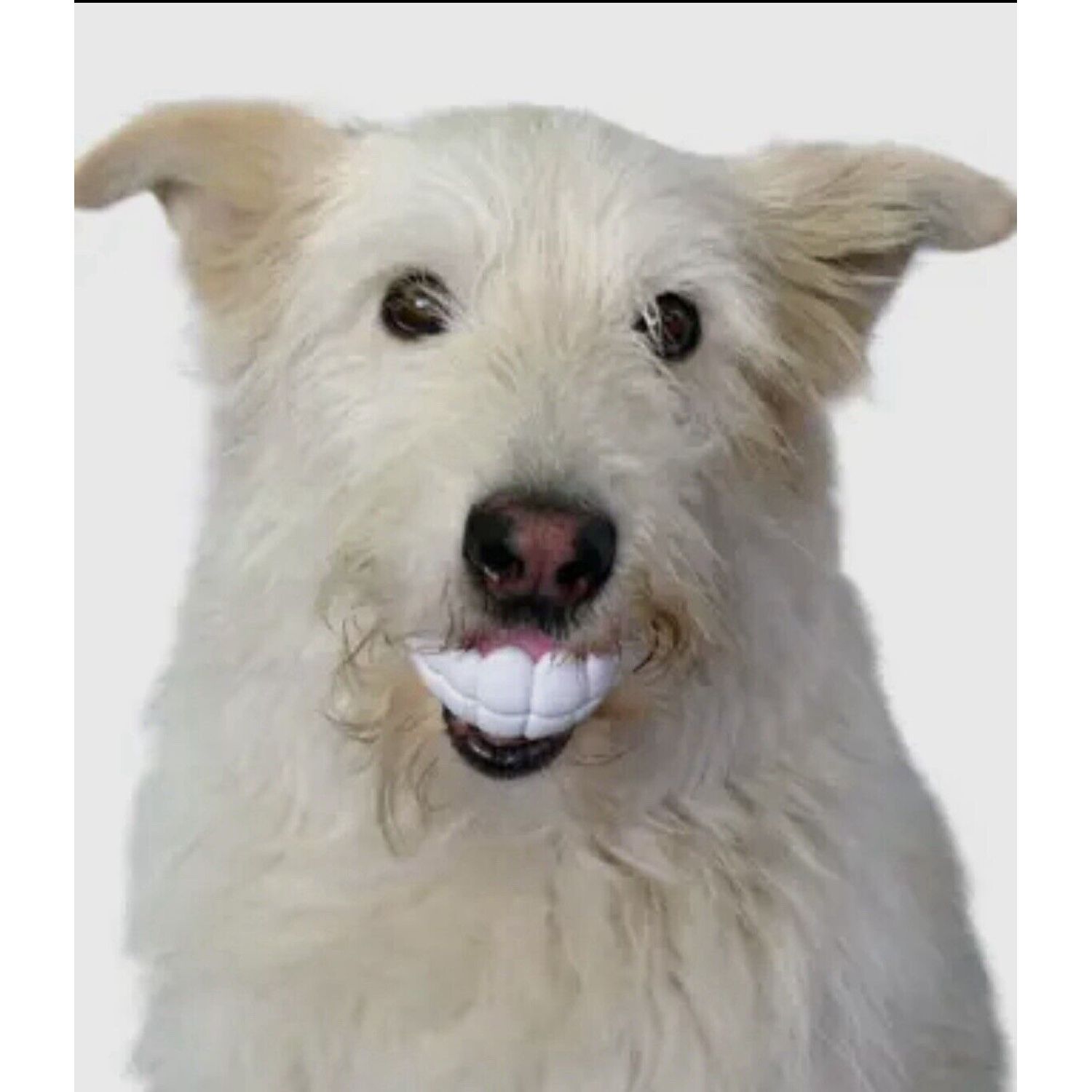 HUMUNGA Teeth Bling Funny Teeth Rubber Pet Dog Toy Fetch Ball Medium/Large