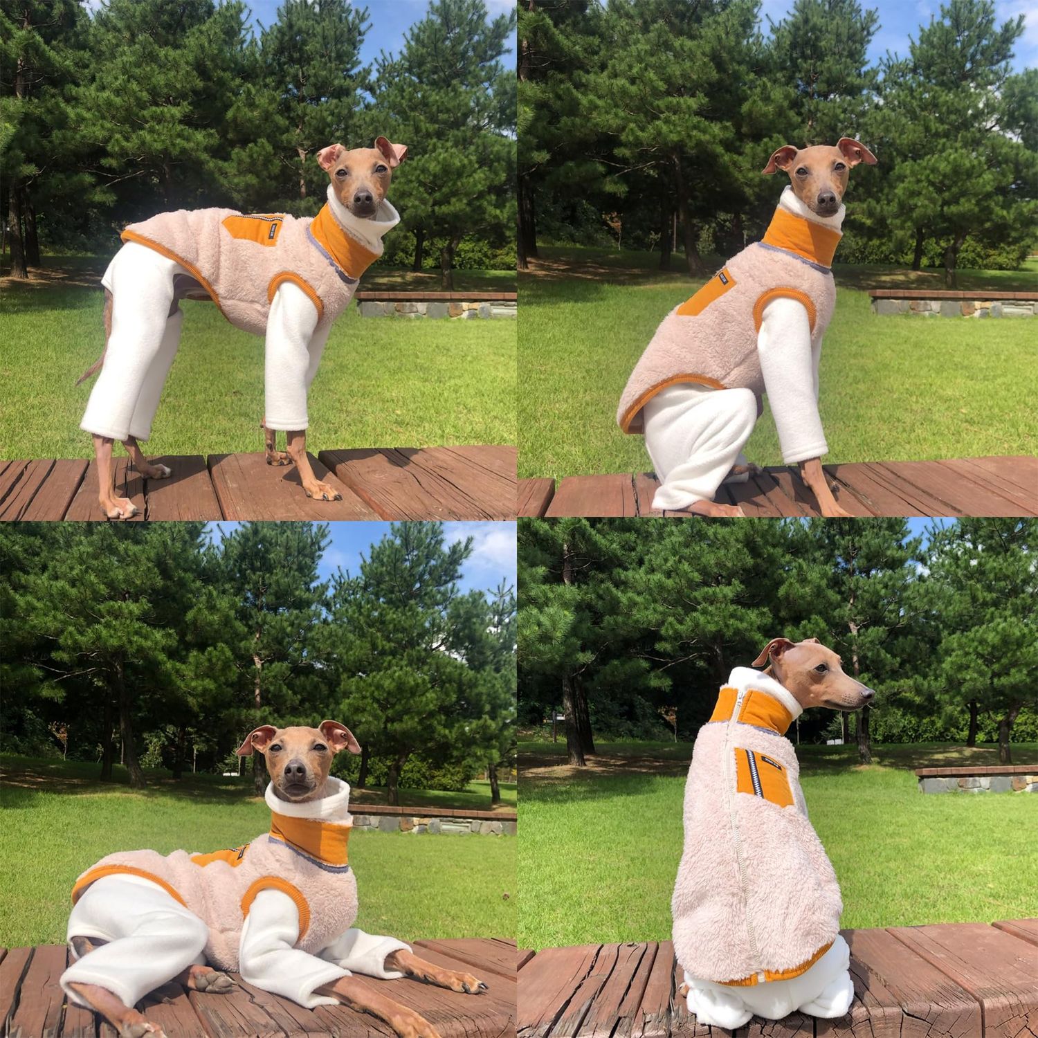 D Doggy Star Italian Greyhound Warm Fleece Zip-up Sweater Jacket Outfit Clothes Whippet for Dog Coat (M,Zipup Mustard)