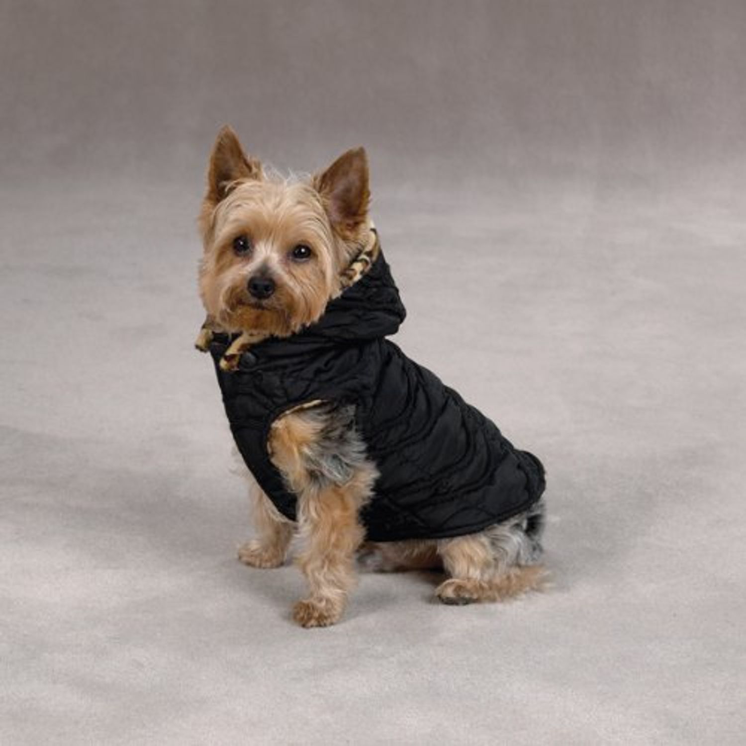 Zack & Zoey Polyester Gold Print Leopard Dog Vest, XX-Small, Black