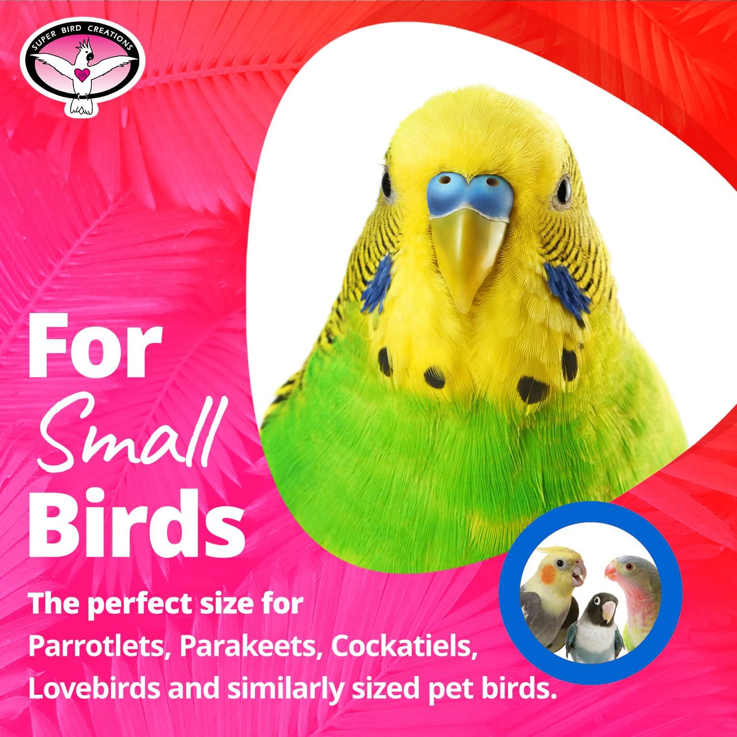 Super Bird Creations SB586 X-mas Star Bird Toy, Small Bird Size, 4.5" x 3"