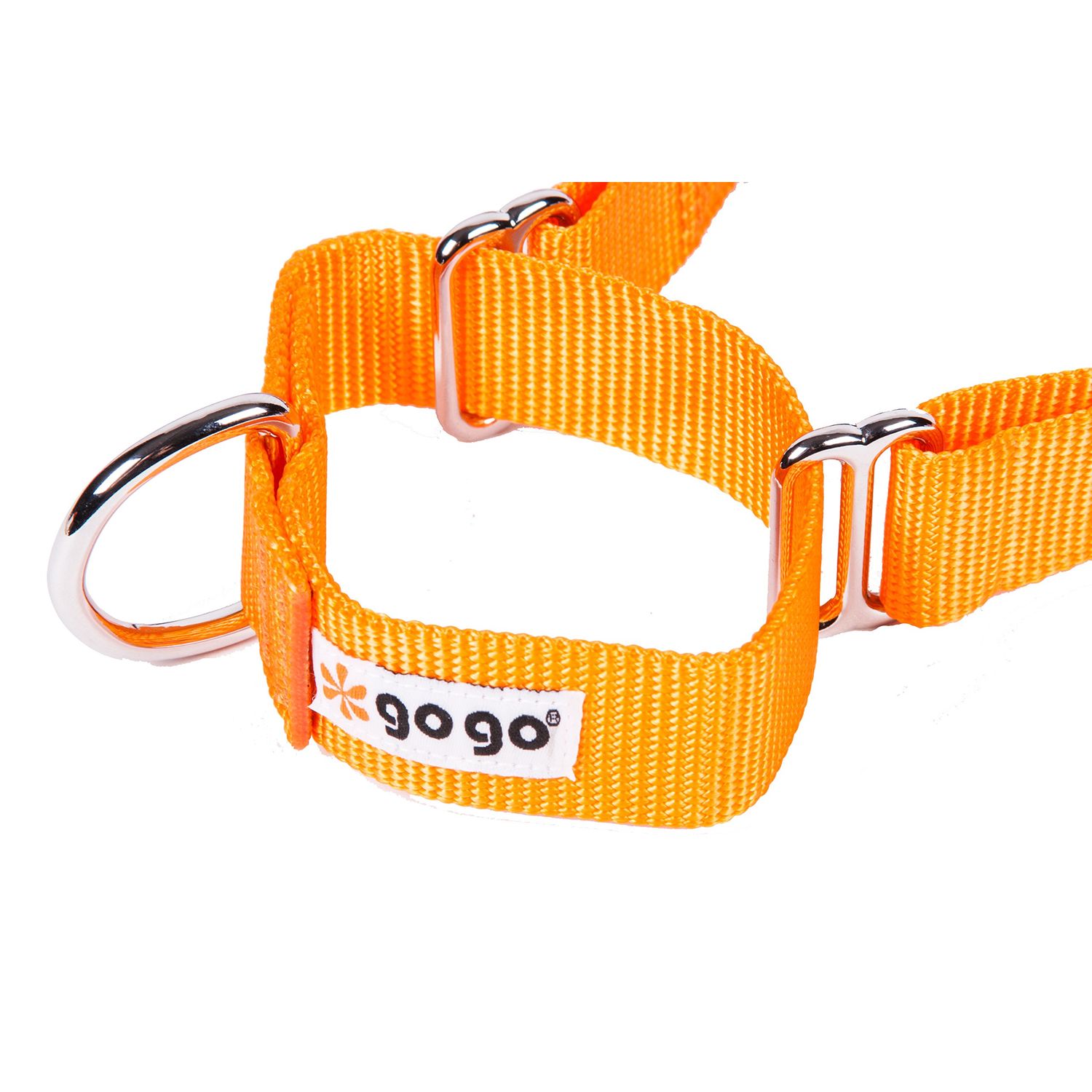 GoGo Pet Products GoGo 3/4-Inch Martingale Dog Collar, Medium, Orange