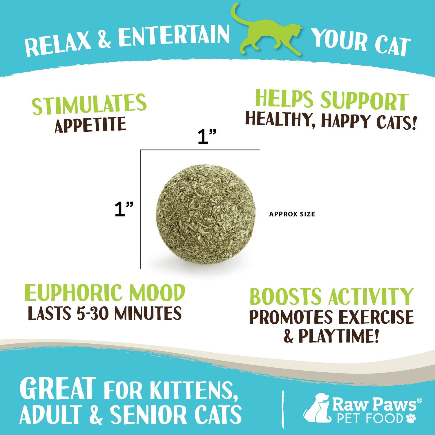 Raw Paws Catnip Balls, 6 ct - Interactive Cat Toy for Indoor Cats - Cat Ball Toy - Kitten Toys - Cat Nip Ball Cat Toy - Cat Lick Ball - Cat Nip Cat Toys - Natural Catnip Ball for Cats of All Breeds