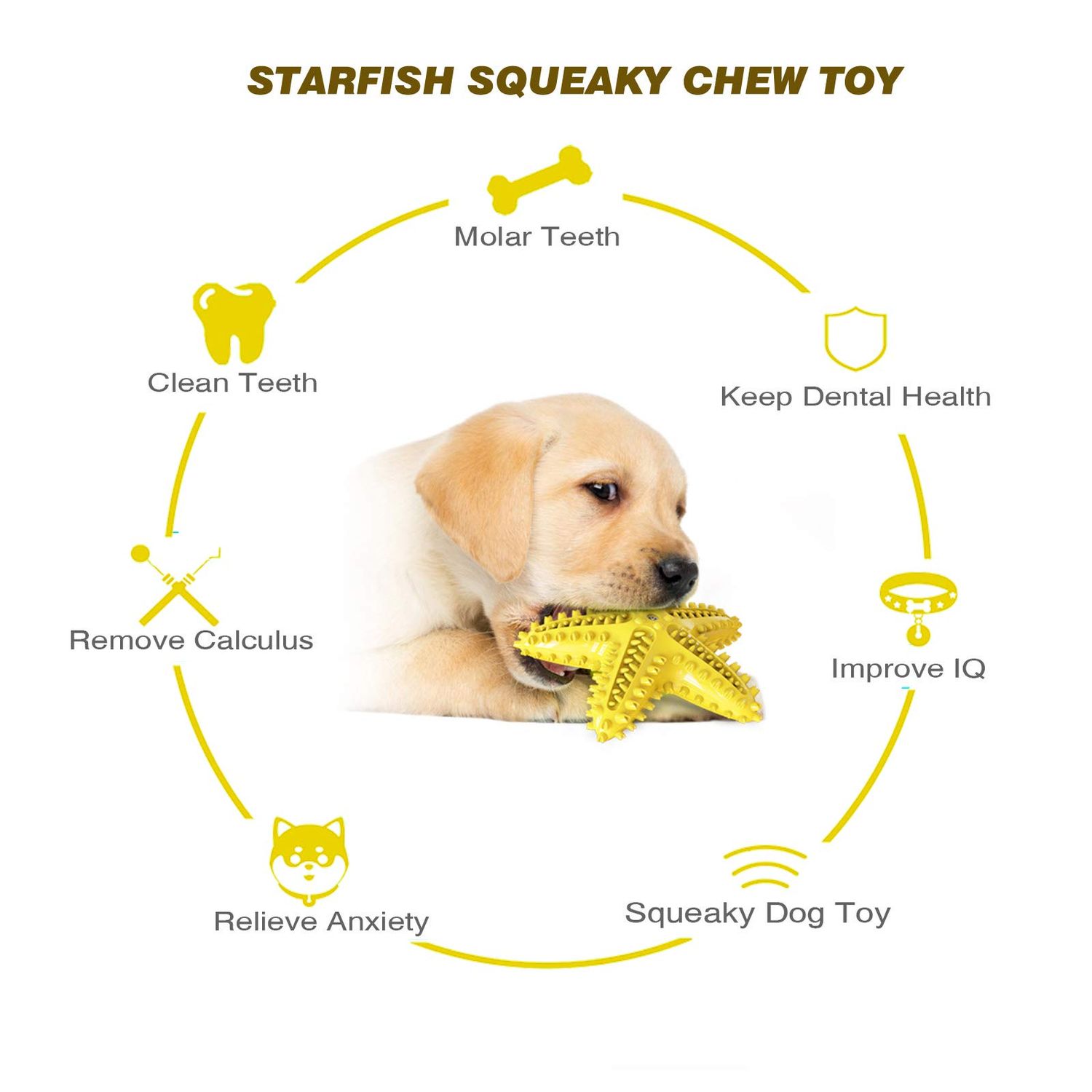 IDOLPET Dog Chew Toys Squeaky Dog Toys Dog Water Floating Toys Starfish Natural Tooth Brush Teeth Cleaning Toy for Small Medium Dog Yellow