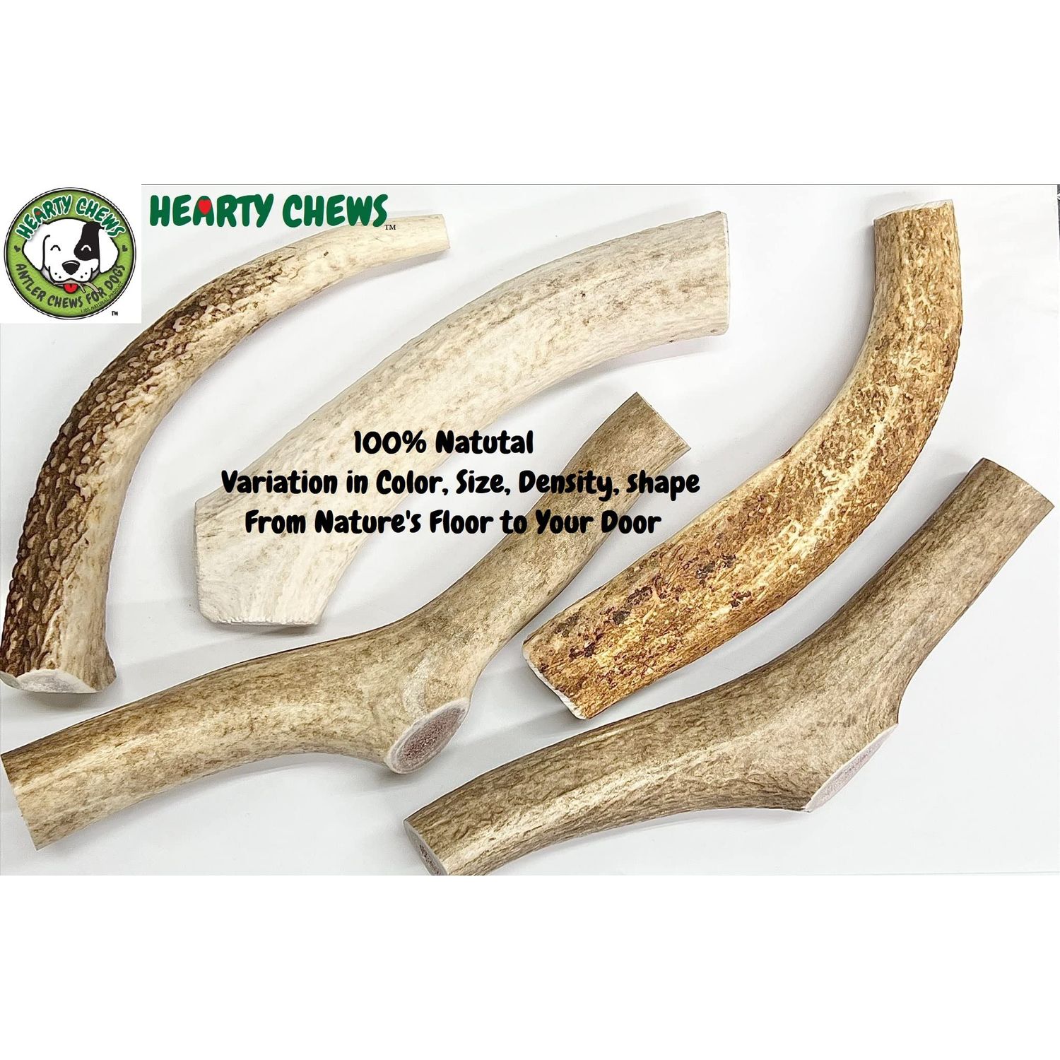 HEARTY CHEWS ELK Antler for Dogs | Natural Dog Chew | 100% Organic Grade A Antler Chew Bone, Supports Teeth & Gum Health, Long Lasting Dog Treat - Jumbo (About 9-11 inches)