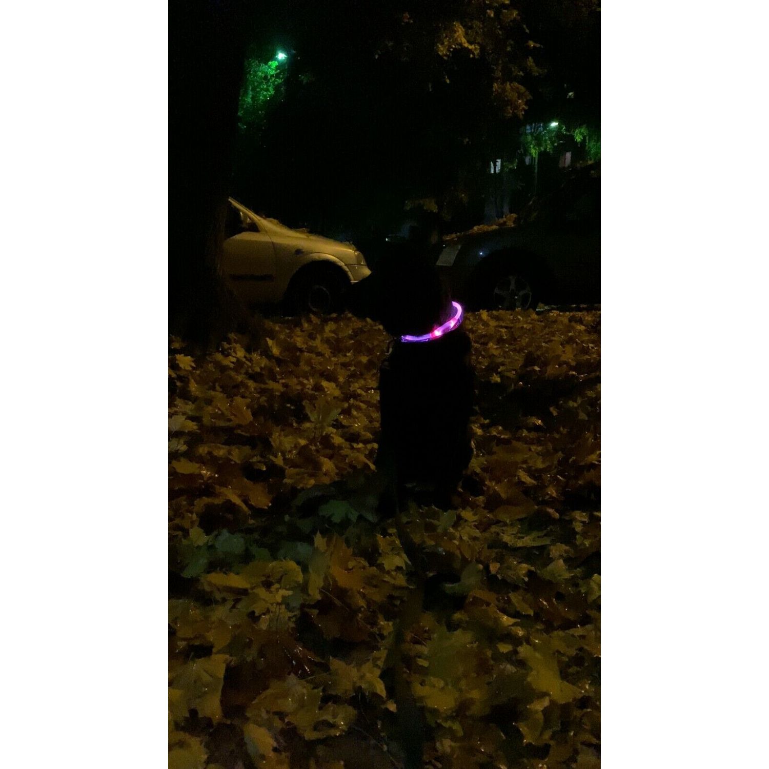 Pink USB Rechargeable Flashing LED Dog Collar Pet Night Safety Light Adjustable
