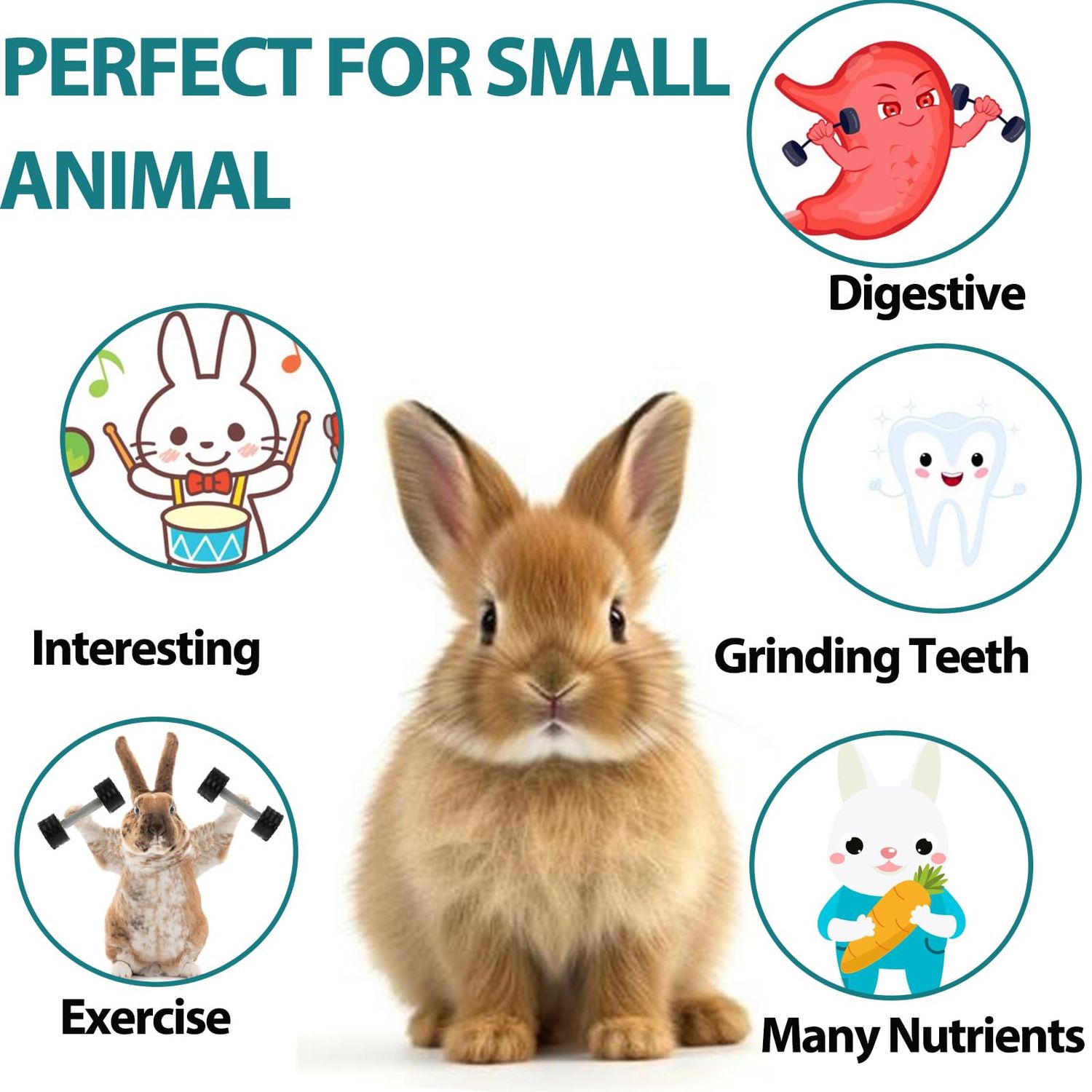 HERCOOCI 18Pcs Rabbit Chew Toys, Bunny Treats and Ball Timothy Hay Stick Toys for Rabbit Bunny Guinea Pig Chinchilla Hamster Teeth Care