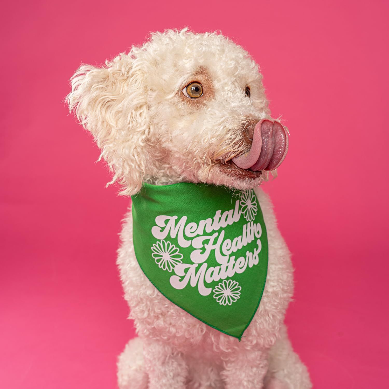 Mental Health Matters Dog Bandana (Green, OS 805)