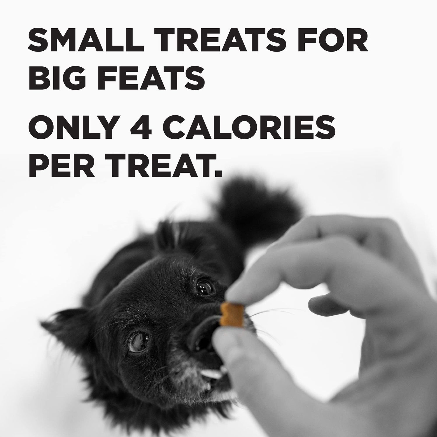 BIXBI Pocket Trainers, Peanut Butter (6 oz, 1 Pouch) - Small Training Treats for Dogs - Low Calorie and Grain Free Dog Treats, Flavorful Pocket Size Healthy and All Natural Dog Treats