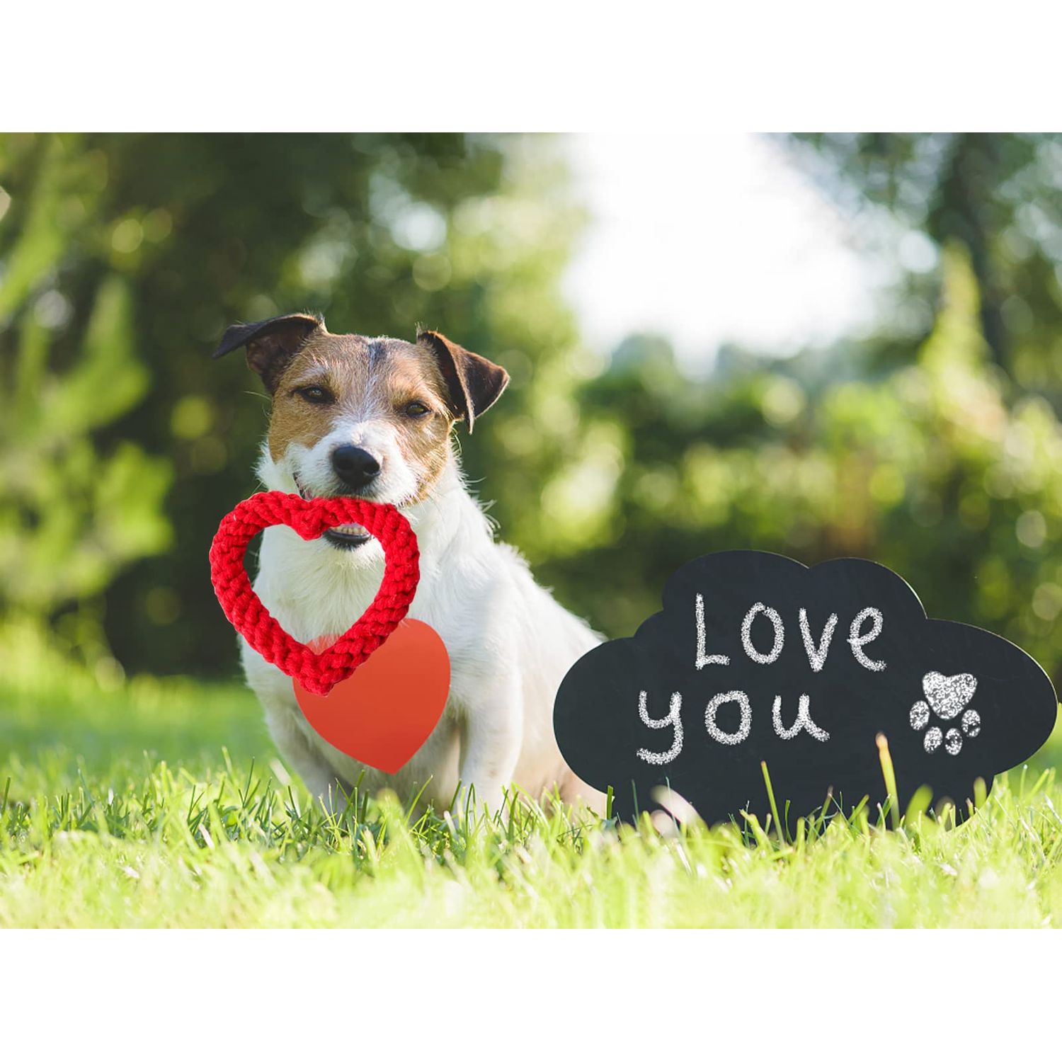 Vehomy 3Pcs Dog Valentine's Day Toys Dog Rope Toys for Dog Teeth Cleaning I Shape Heart Shape U Shape I Love You Valentine's Day Cotton Rope Puppy Chewing Toys for Small Medium Pet Dogs