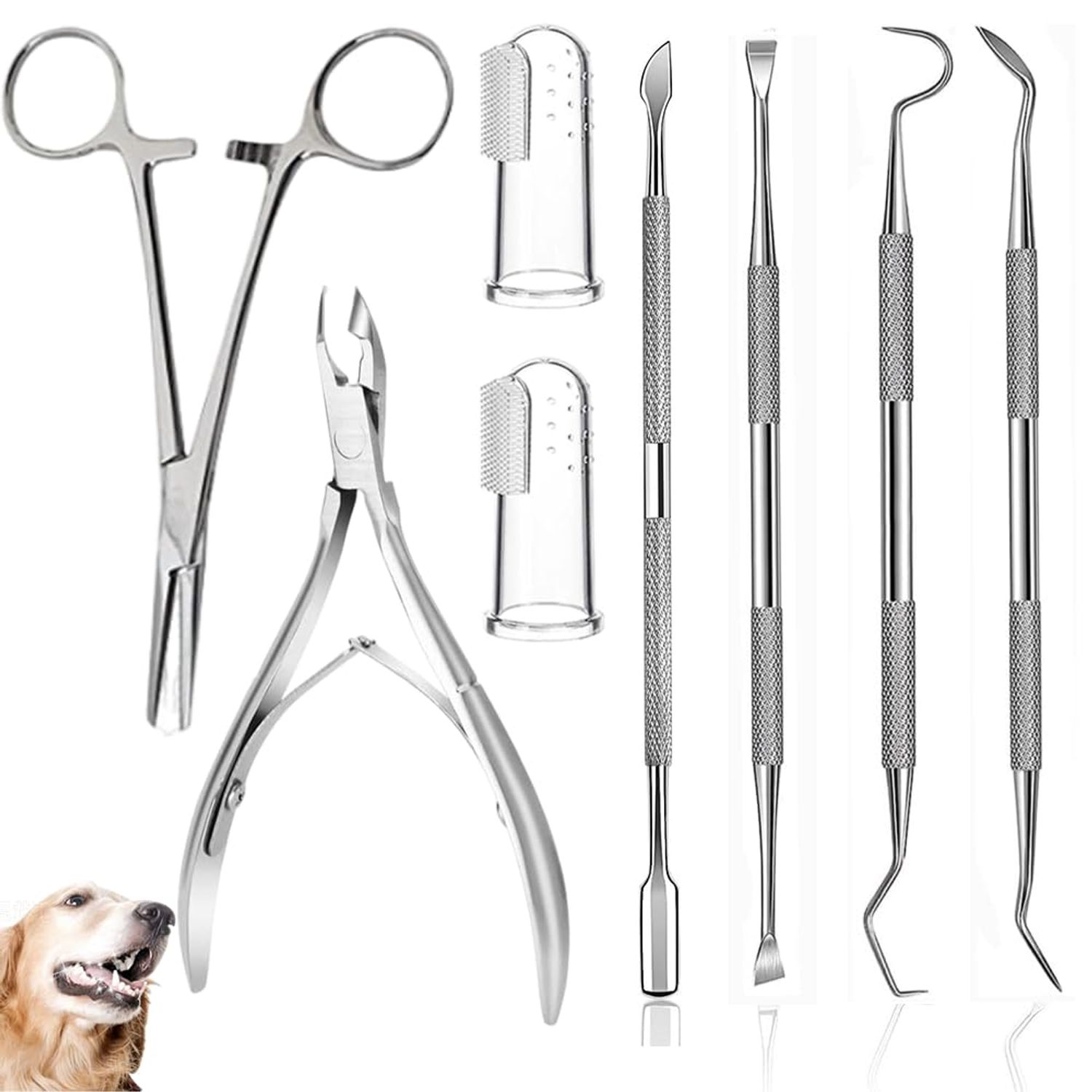 Qubccum 8 Pcs Dog Tartar Remover Pet Teeth Cleaning Tool, Cat Plaque Off Calculus Remover, Dog Tooth Scaler and Scraper, Stainless Steel Dental Forceps for Dogs and Cats Oral Care