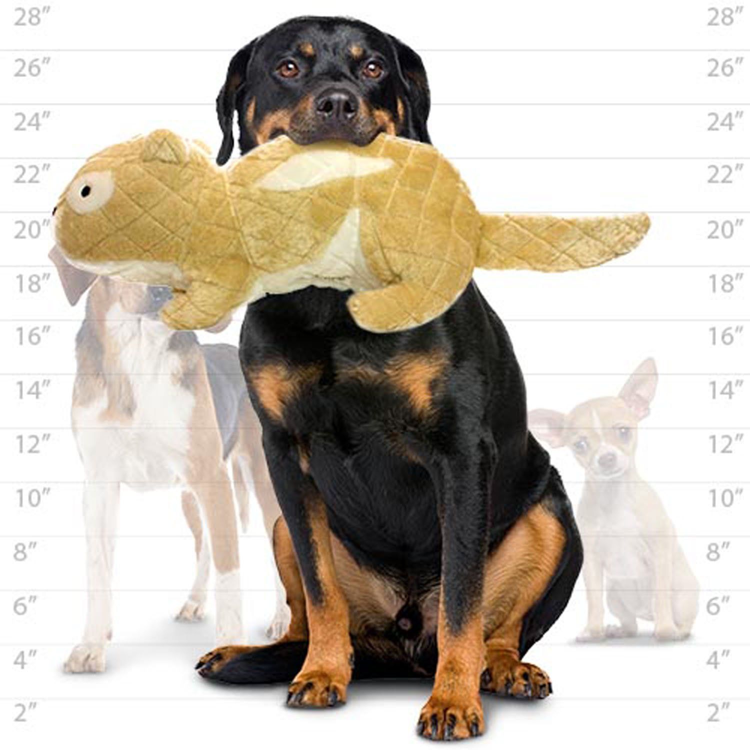 MIGHTY- Massive-Nature-Chipmunk- Squeaker-Multiple Layers. Made Durable, Strong & Tough. Interactive Play Dog Toy (Tug, Toss & Fetch). Machine Washable & Floats