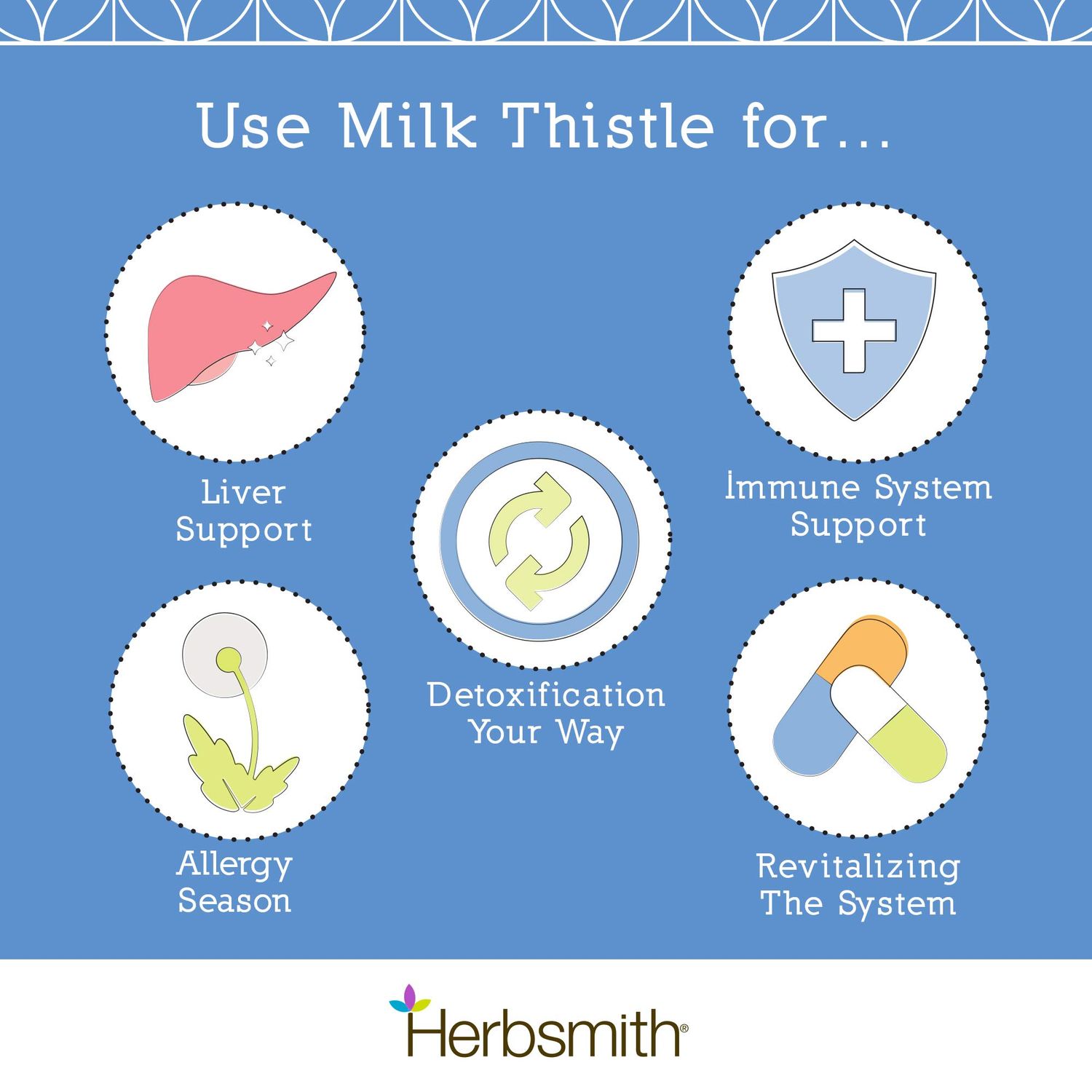 Herbsmith Organic Milk Thistle for Dogs and Cats – Liver Supplement for Dogs & Cats – Made in USA – 500g Powder