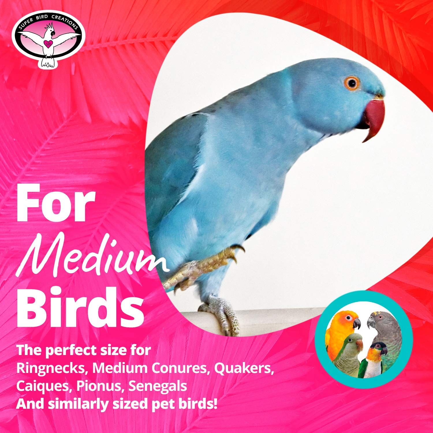 Super Bird Creations SB1098 Palm Star Bird Toy for Parrots, Ringnecks, Medium Conures, Quakers, Pionus, Senegal - Leaves, Colorful loofa, Mahogany Pods Vine Stars - Medium Bird Size, 13" x 3.5" x 3.5"