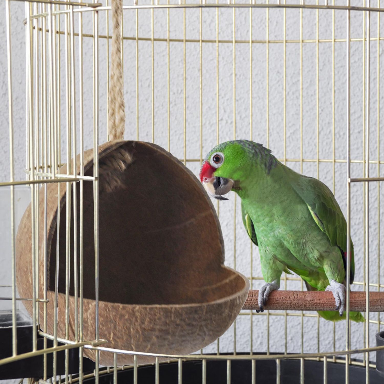 MUYG Natural Coconut Bird Nest,Hanging Coco Birds House Habitats Decor,Parrots Coconut Shell Nest Hideout with Grinding Beak Toys,Bird Cage Accessories Coconut for Canary Lovebird Cockatiel