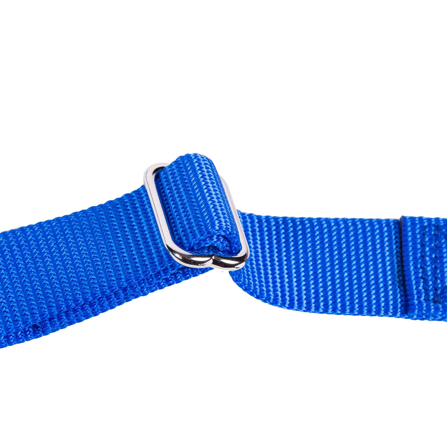 GoGo Pet Products GoGo 3/8-Inch Martingale Dog Collar, X-Small, Blue