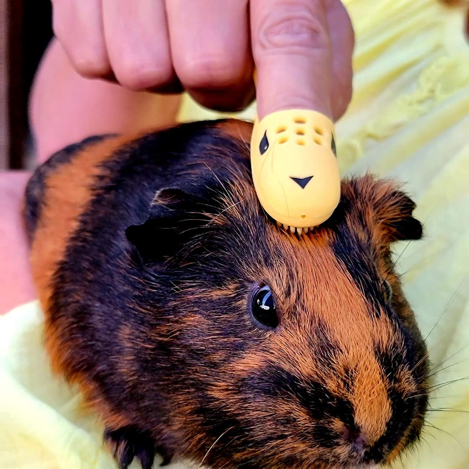 Huggle Brush HuggleBrush Original Yellow Guinea Pig Brush, Rabbit Small Pet Grooming, De-shedding, Bonding