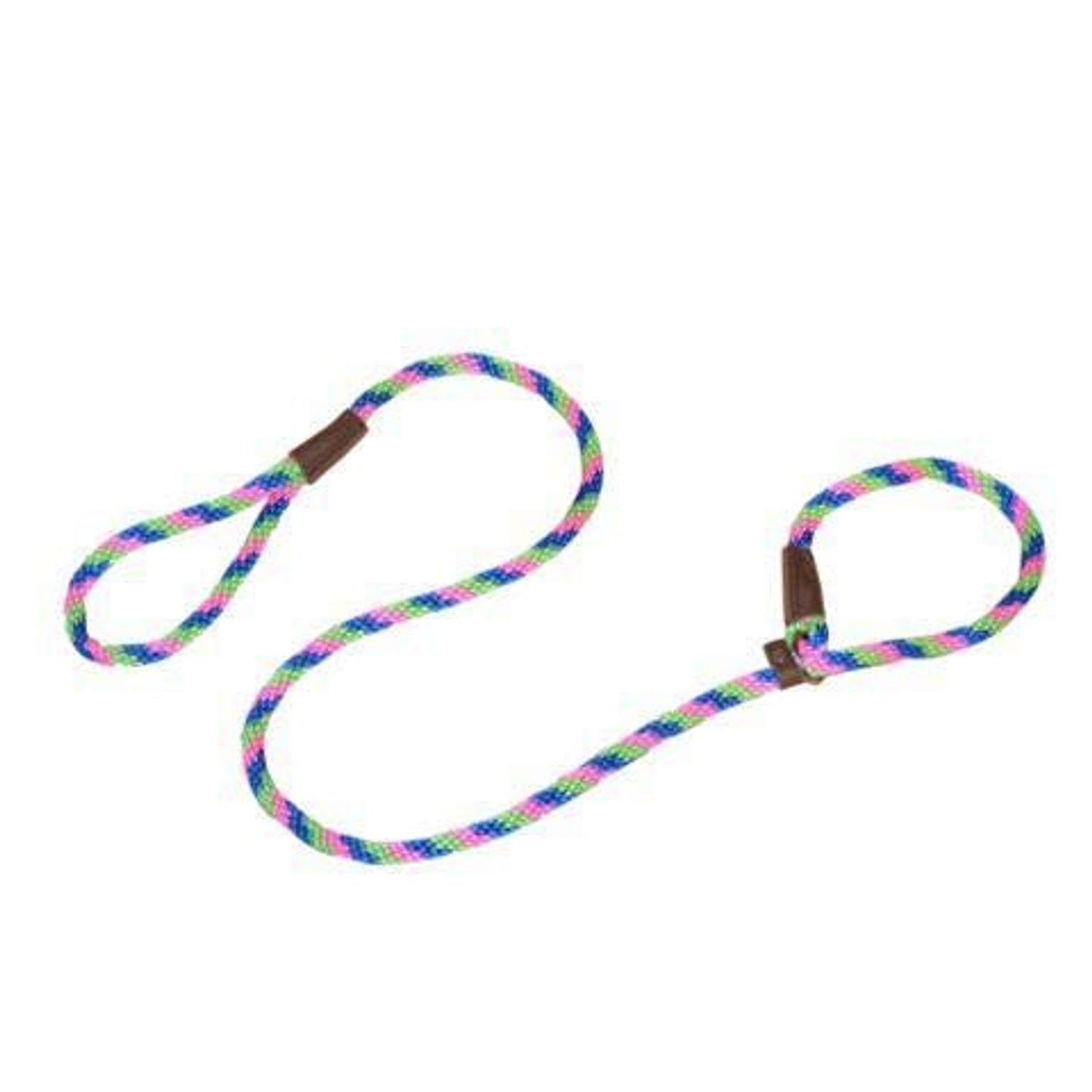 Warner Braided Nylon Rope British Slip Lead Dog Leash 1/2" X 6 Ft. (Blue-Pink-Lime)