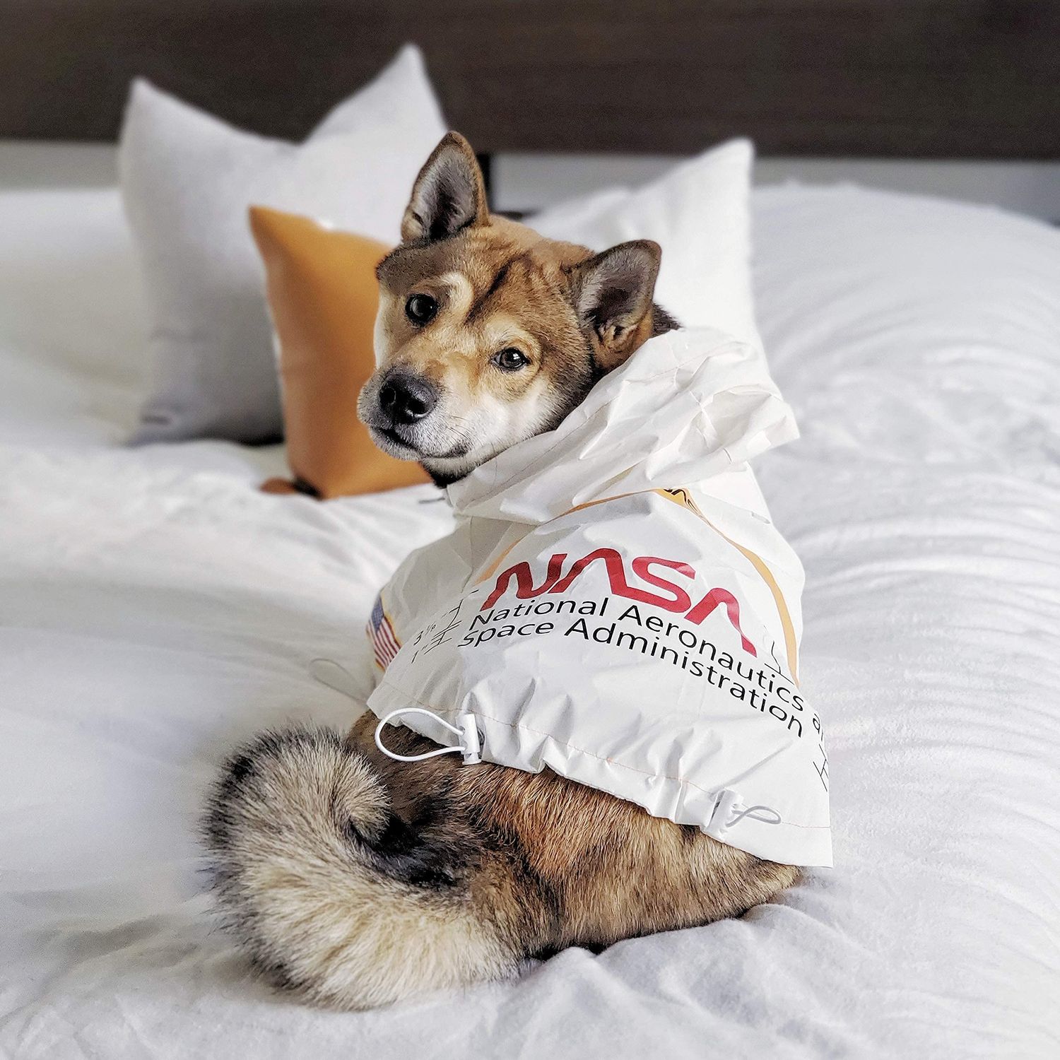 ChoChoCho NASA Dog Raincoats, Reflective Rain Jacket Water Proof, Dog NASA Costume, Dog Clothes, Pet Stylish Streetwear Outfit for Dogs Cat Puppy Small Medium Large (White, 4XL)