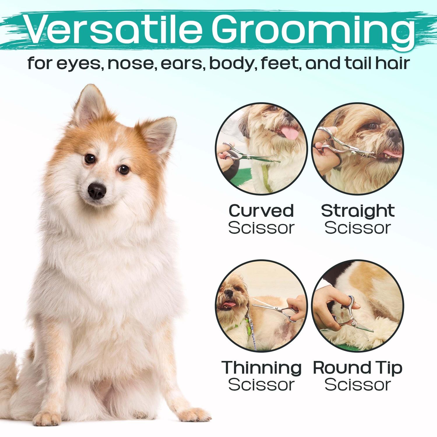 Pawtrim Professional Pet Grooming Kit – 6 in 1 Dog Grooming Scissor Kit - Dog & Cat Grooming Supplies - Adjustable Screw Scissors, 4CR Stainless Steel Dog Clippers, Hair Thinning Shears, Rubber Grips…