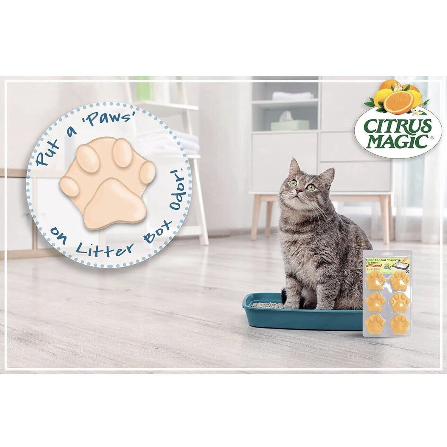Citrus Magic Pet Odor Eliminator Litter Paws, Ocean Breeze, 6-count