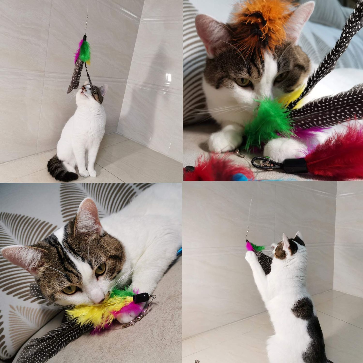TIENAILING Cat Feather Toys Refills Cat Wand Replacement Feathers, 10 PCS Feather Cat Toy Refills, Cat Toy Wand Attachments Feathers for Cat Toys