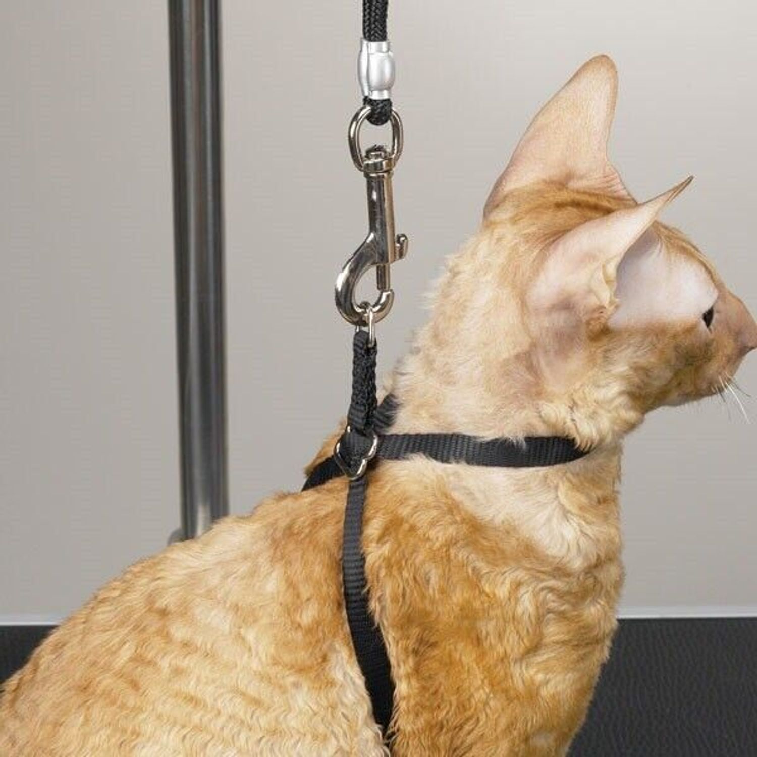 Black Nylon Adjustable Cat Harness 40" Secure Pet Restraint Easy Snap Closure