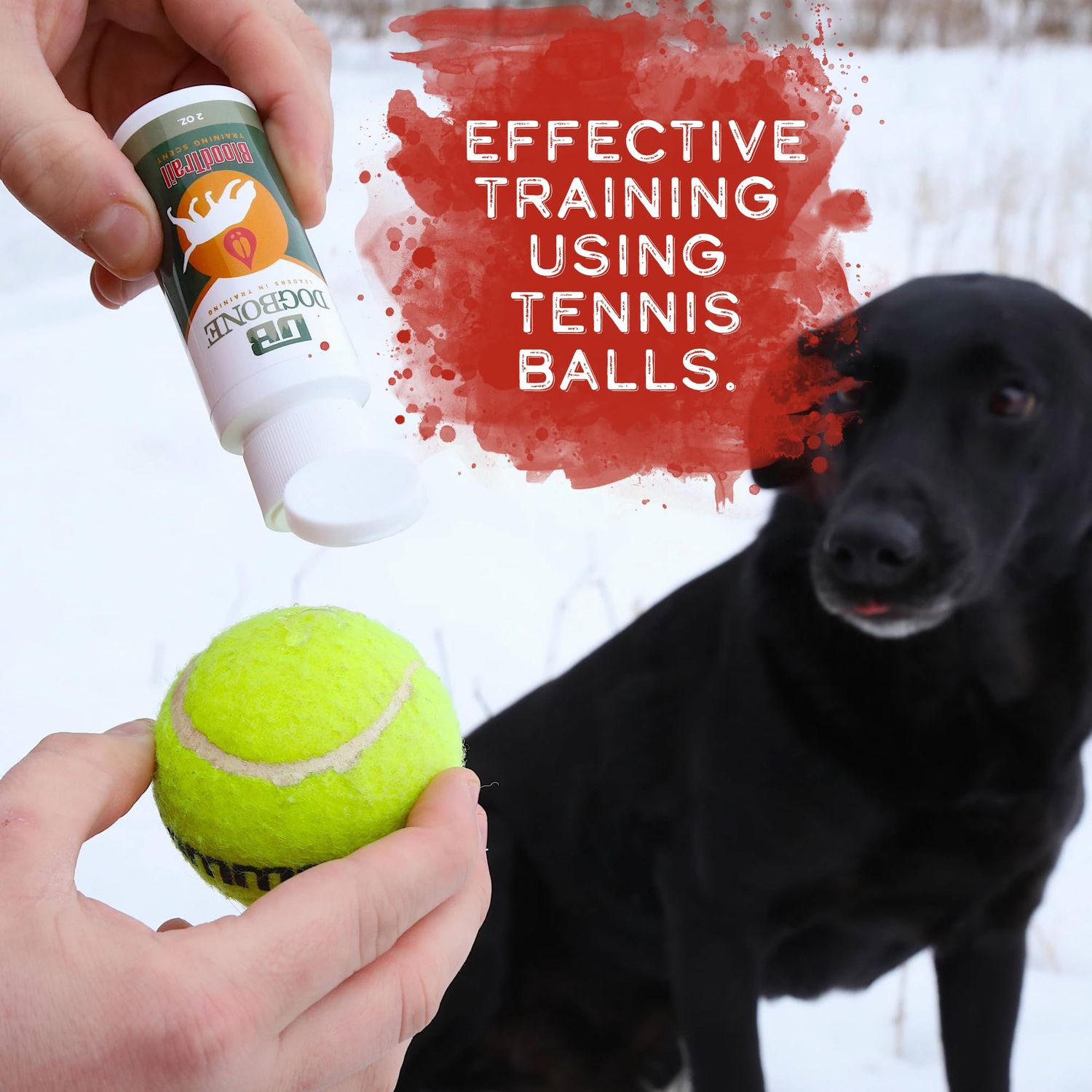 DogBone BloodTrail Scent for Tracking Dog Training | Dog Training Kit | Hunting Dog Accessories | Dog Scent Training Kit | Deer Hunting Accessories | Dog Training Tools | Scent Work Training for Dogs
