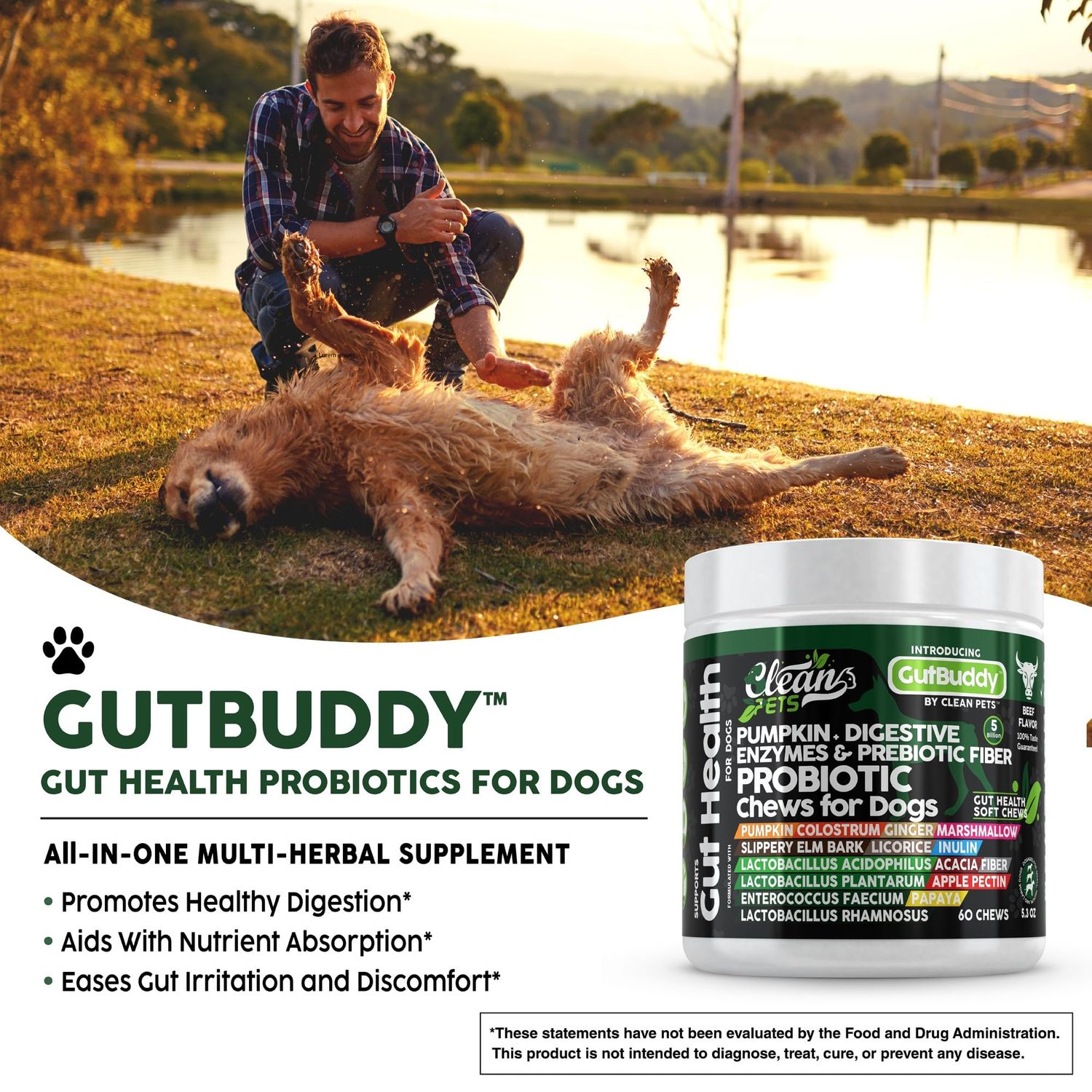 Clean Pets Probiotics for Dogs with Pumpkin, Colostrum, Digestive Enzymes, Ginger, Slippery Elm, Licorice, Inulin Fiber & More | Beef Flavor Soft Chews for Gut Health and Digestion Dog Supplement