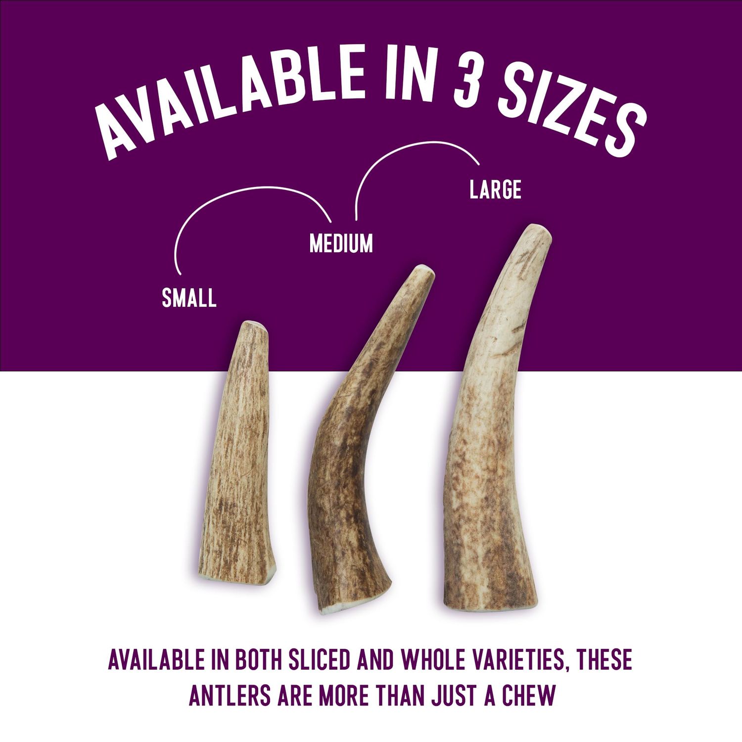 Health Extension Natural Elk Antlers for Dogs, Small Whole – Long-Lasting Chews for Aggressive Chewers, Dental Health Promotion, Ideal Puppy Training Treat