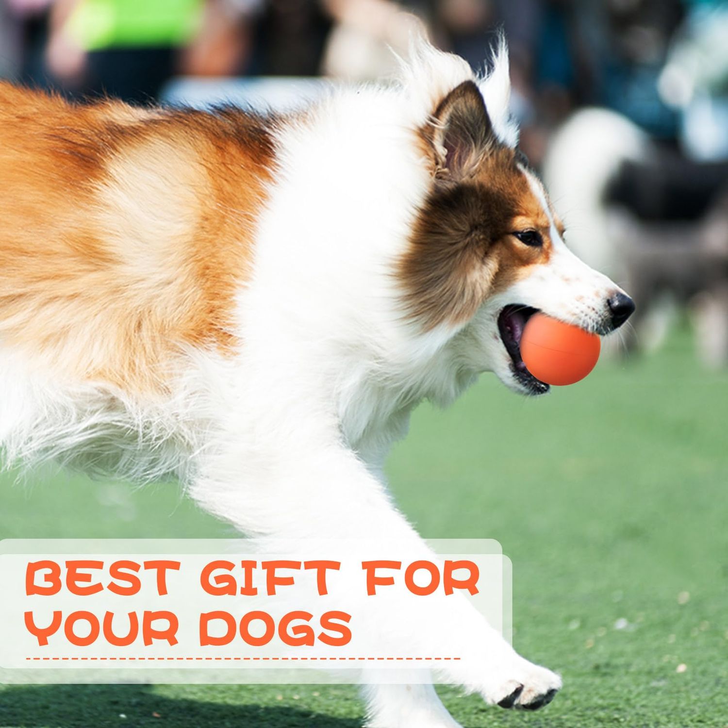 Hiboom 15 Pack Natural Rubber Tennis Balls for Dogs Catching Pet Dog Balls for Fetch Training 2.4 Inch Interactive High Bounce and Floatable Dog Toy Balls for Park Beach Gift(Orange)