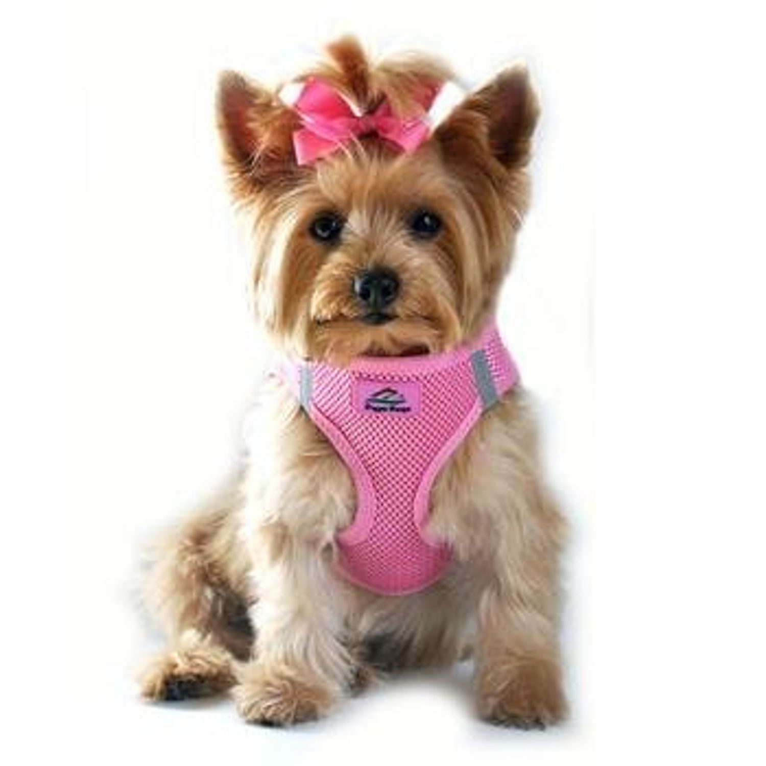 American River Choke Free Dog Harness - Size XS - Candy Pink