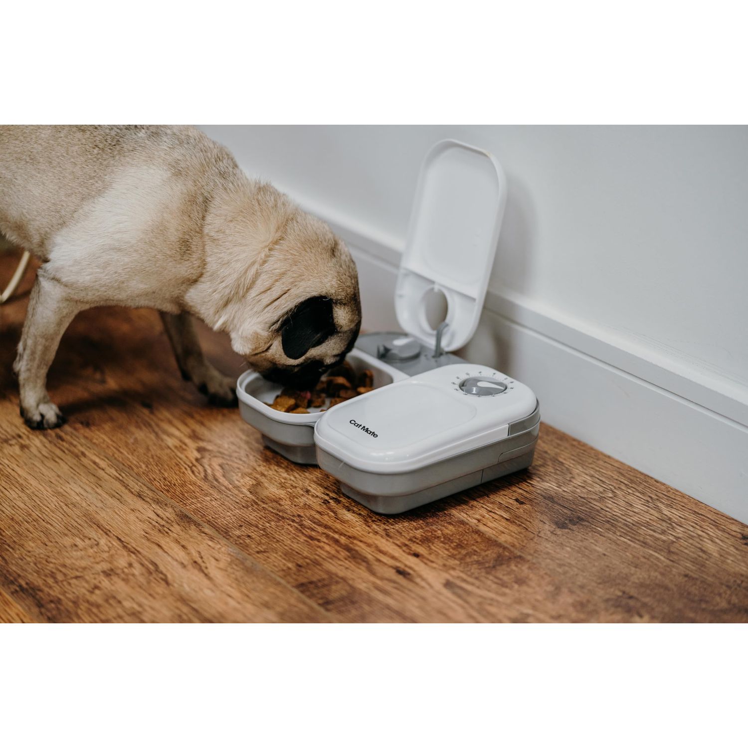 Cat Mate C200 2-Meal Automatic Pet Feeder for Cats and Small Dogs with Ice Pack