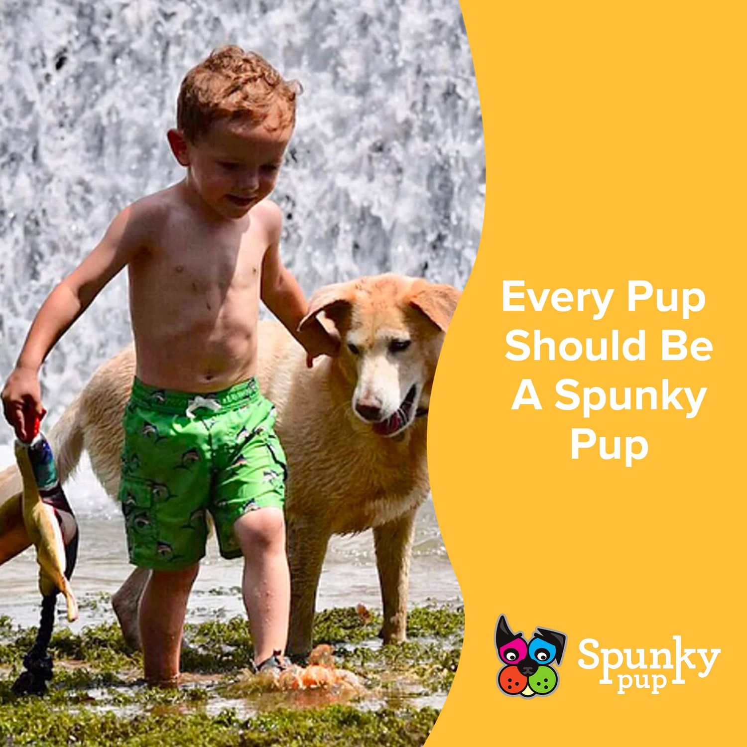 Spunky pup Fly & Fetch Plush Eagle Dog Toy | Interactive 100 ft Sling Shot Launcher with Built-In Bungee | Pull Back & Release | Durable Construction | Ballistic Fabric | Floats | For Medium Breeds