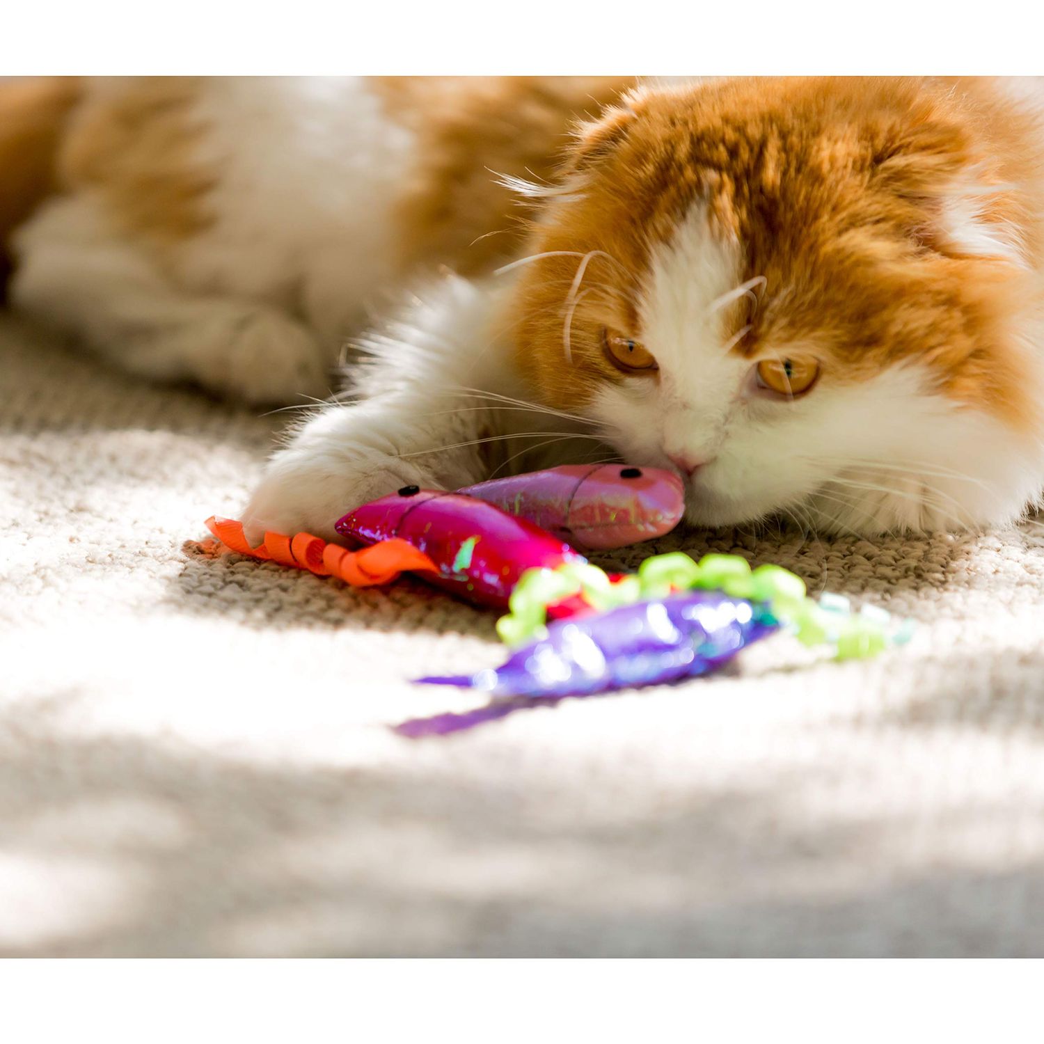 Youngever Catnip Crinkle Fish Toy, 15 Pack Exercise Cat Toys for Cat, Kitten, Puppy, Interactive Play, Great Gift Set